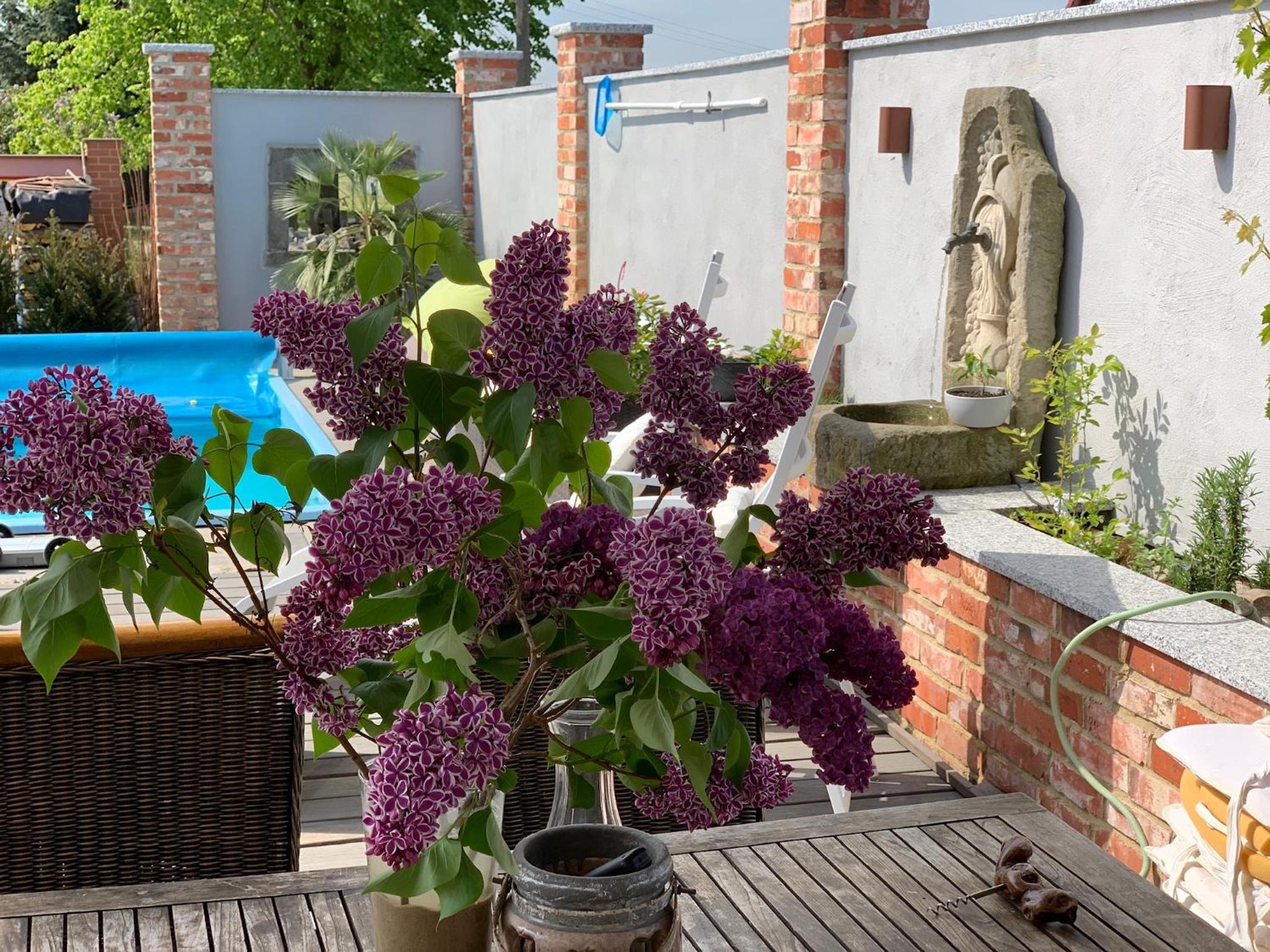Alte Schmiede mit Sauna, Pool und Whirpool im Außenbereich schönstes Ferienhaus der Lausitz