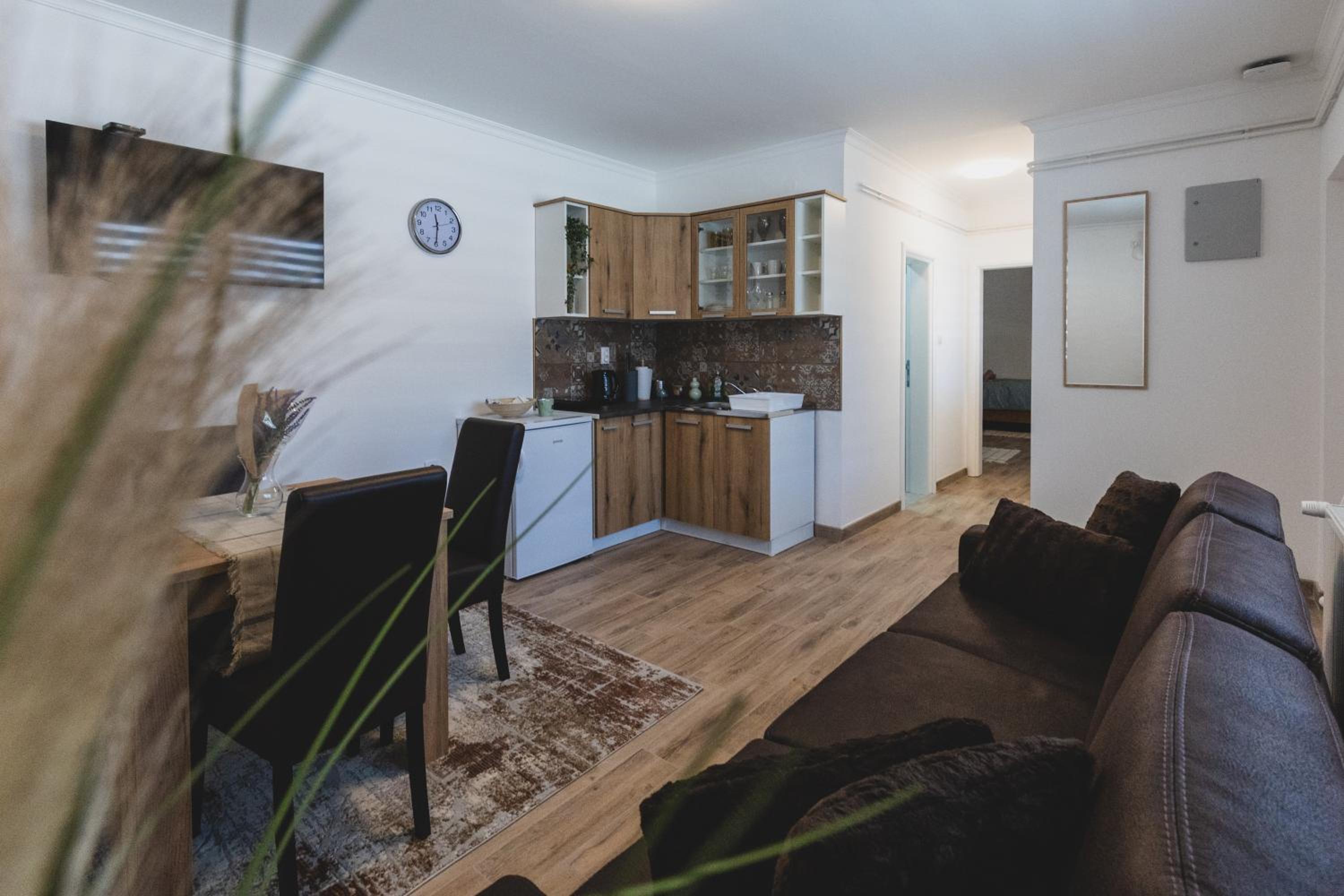 ALFA Apartmani view 4
