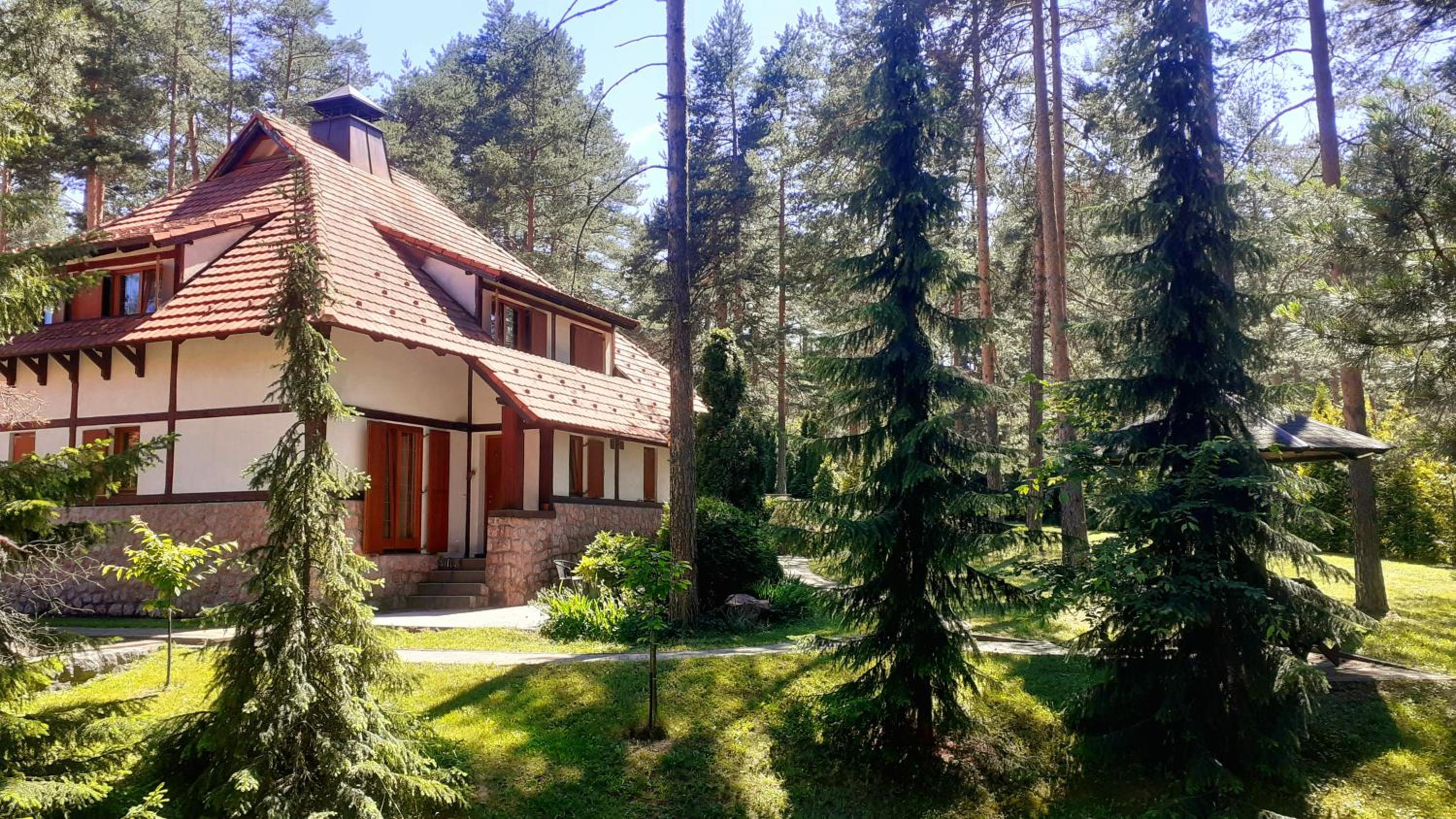KRALJEVI KONACI - Vila Zelena Dolina - Zlatibor view 4