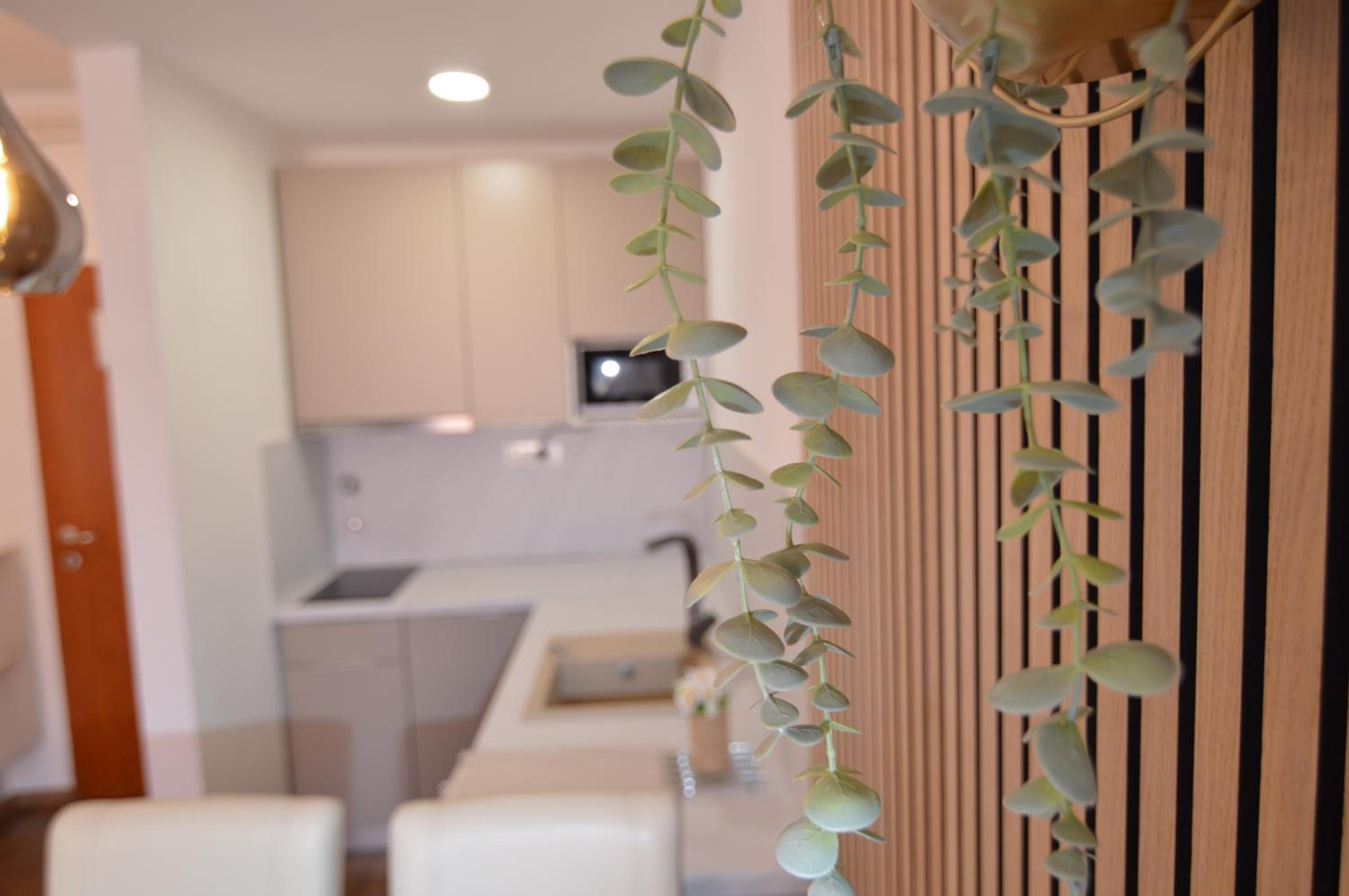 Apartments Amari