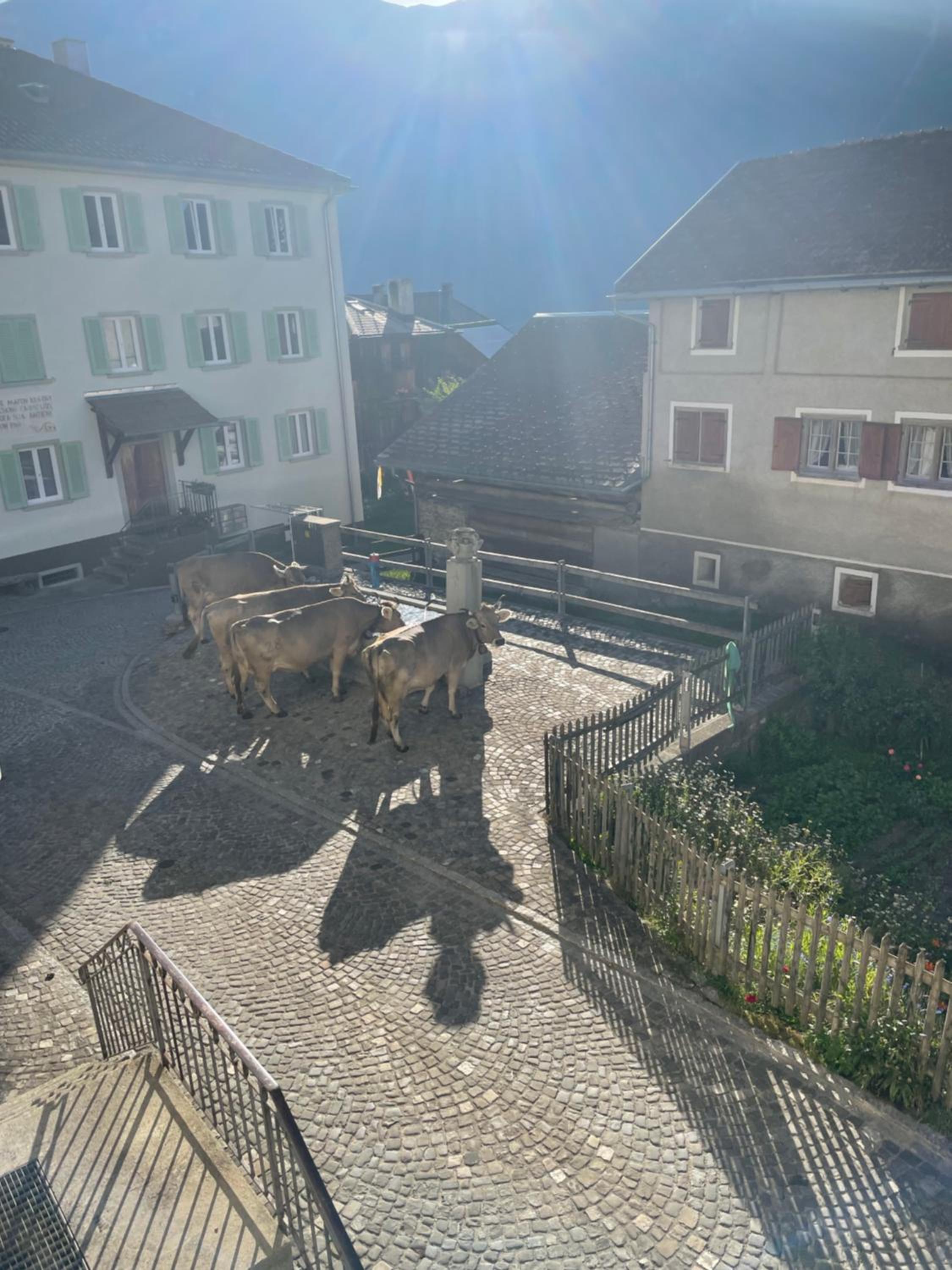 Gasthaus Beverin