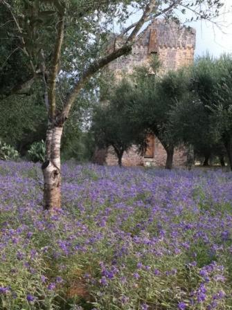 Casa Serradei en Torchiarolo