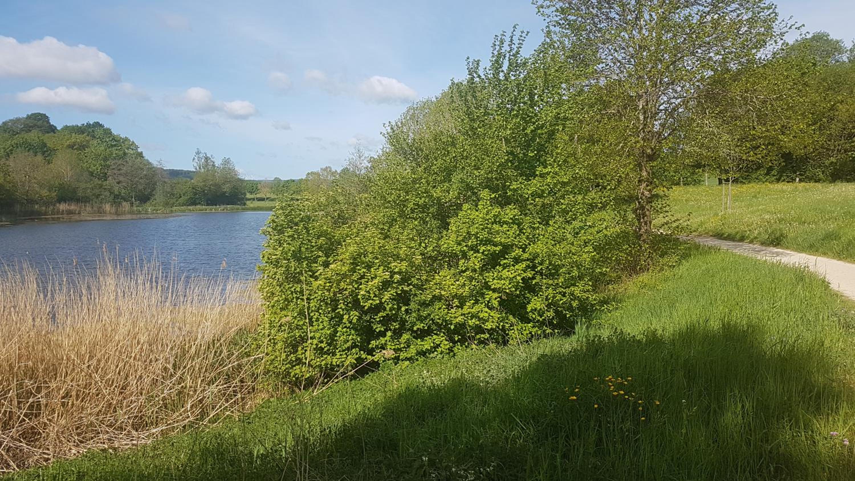 idyllisches Mühlengebäude