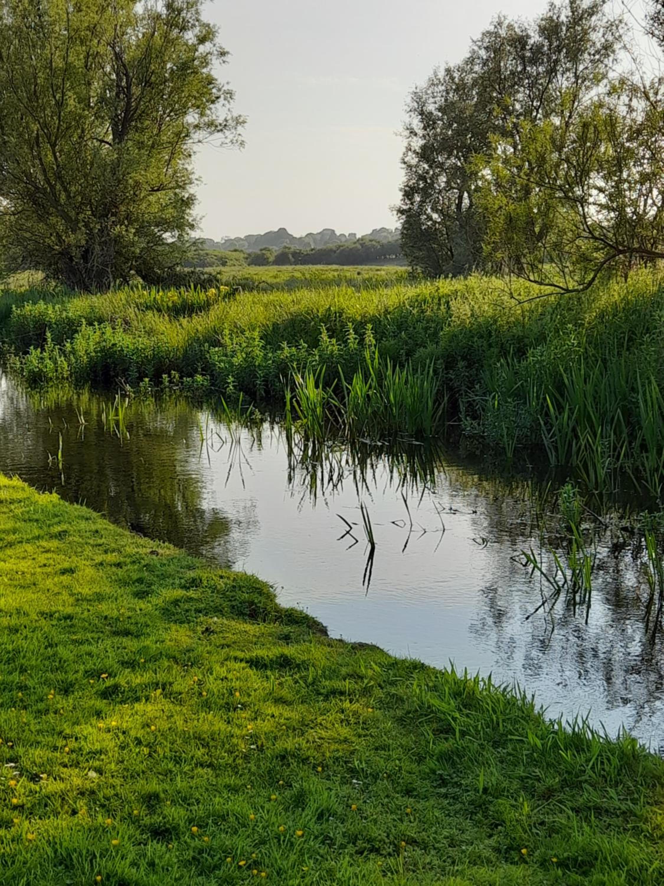 Kings Lynn Vacations - Nar river bb - Property Image 1