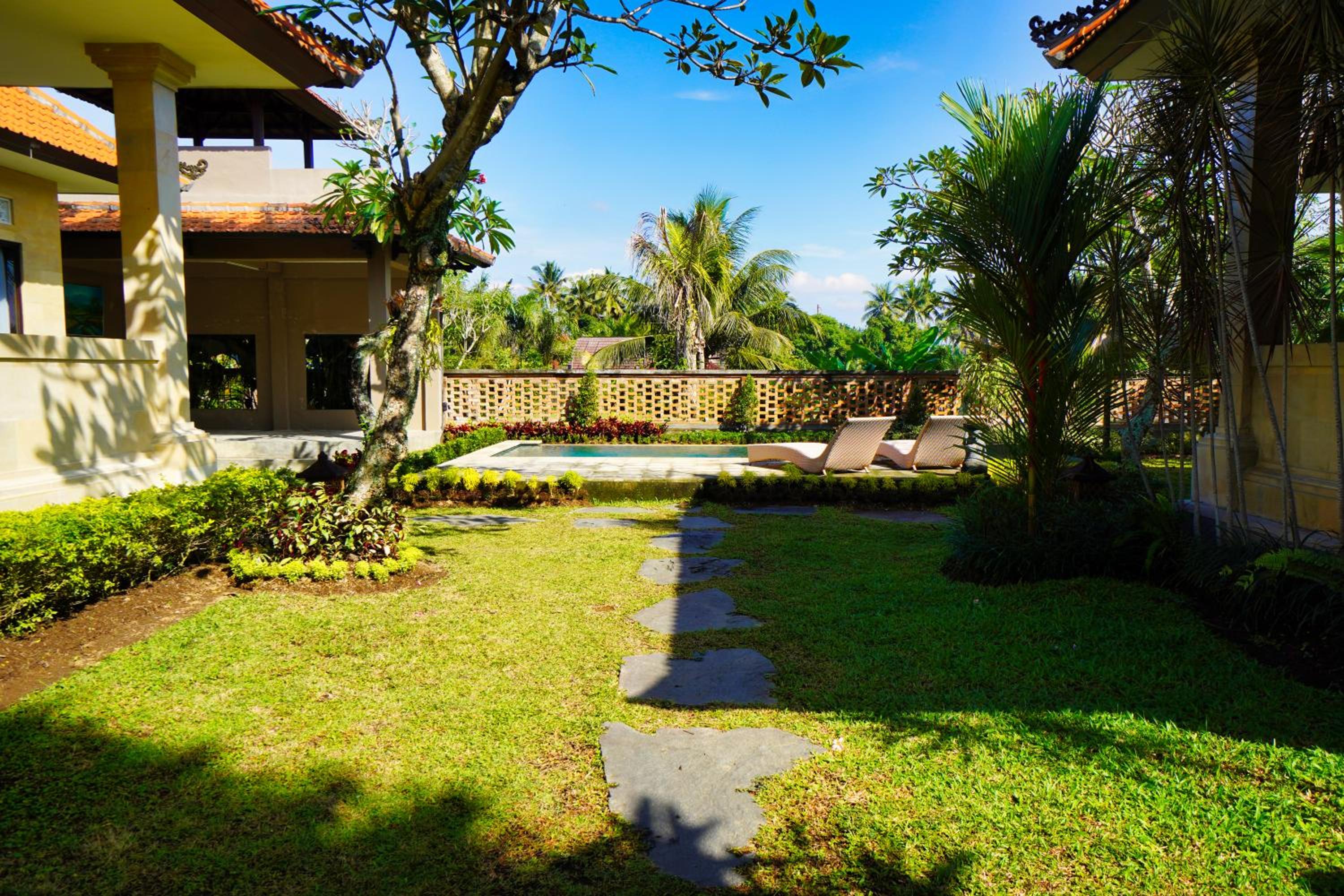 Photo 181