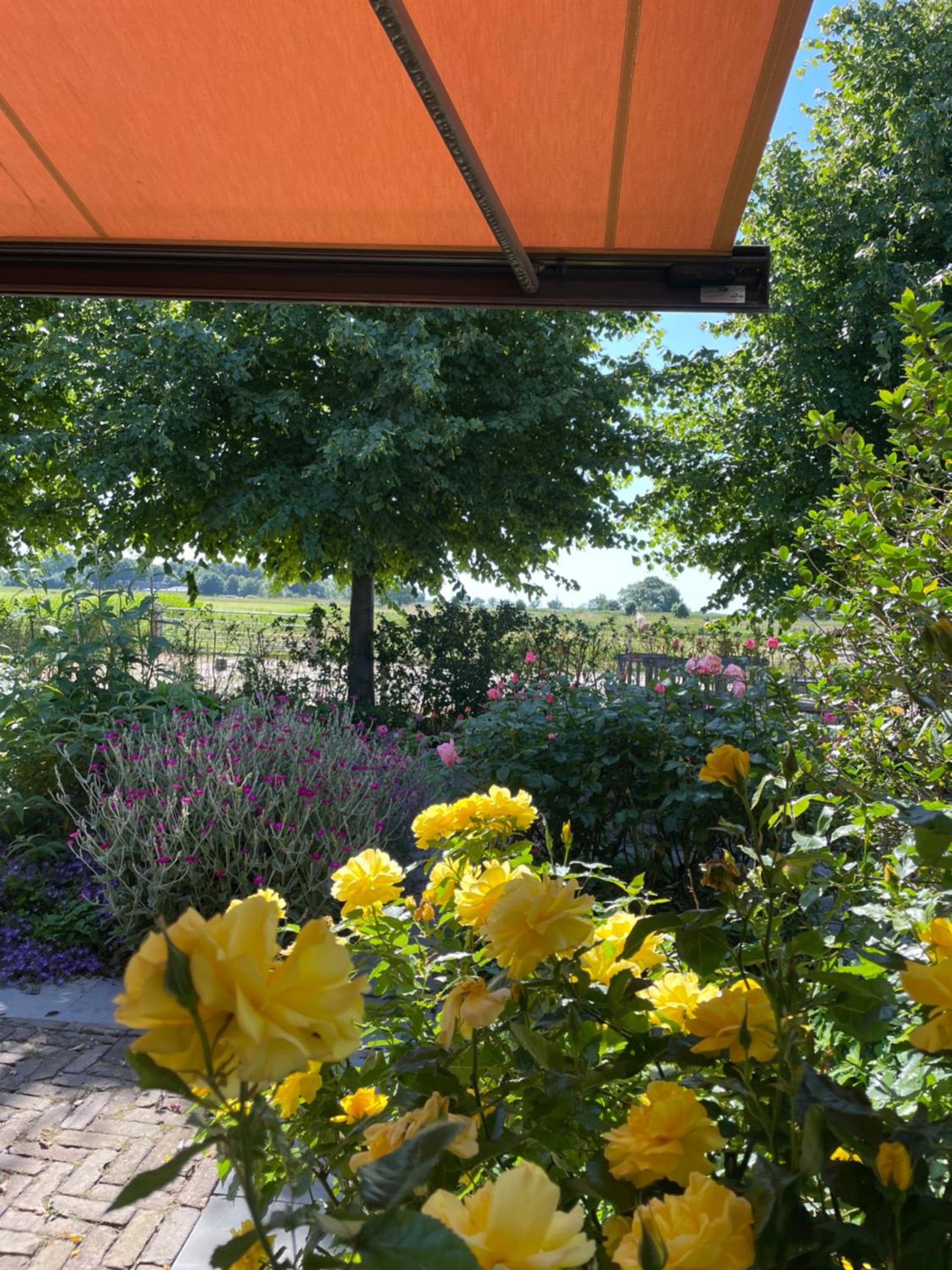 Hestar Husid, het luxe paardenhuis view 4