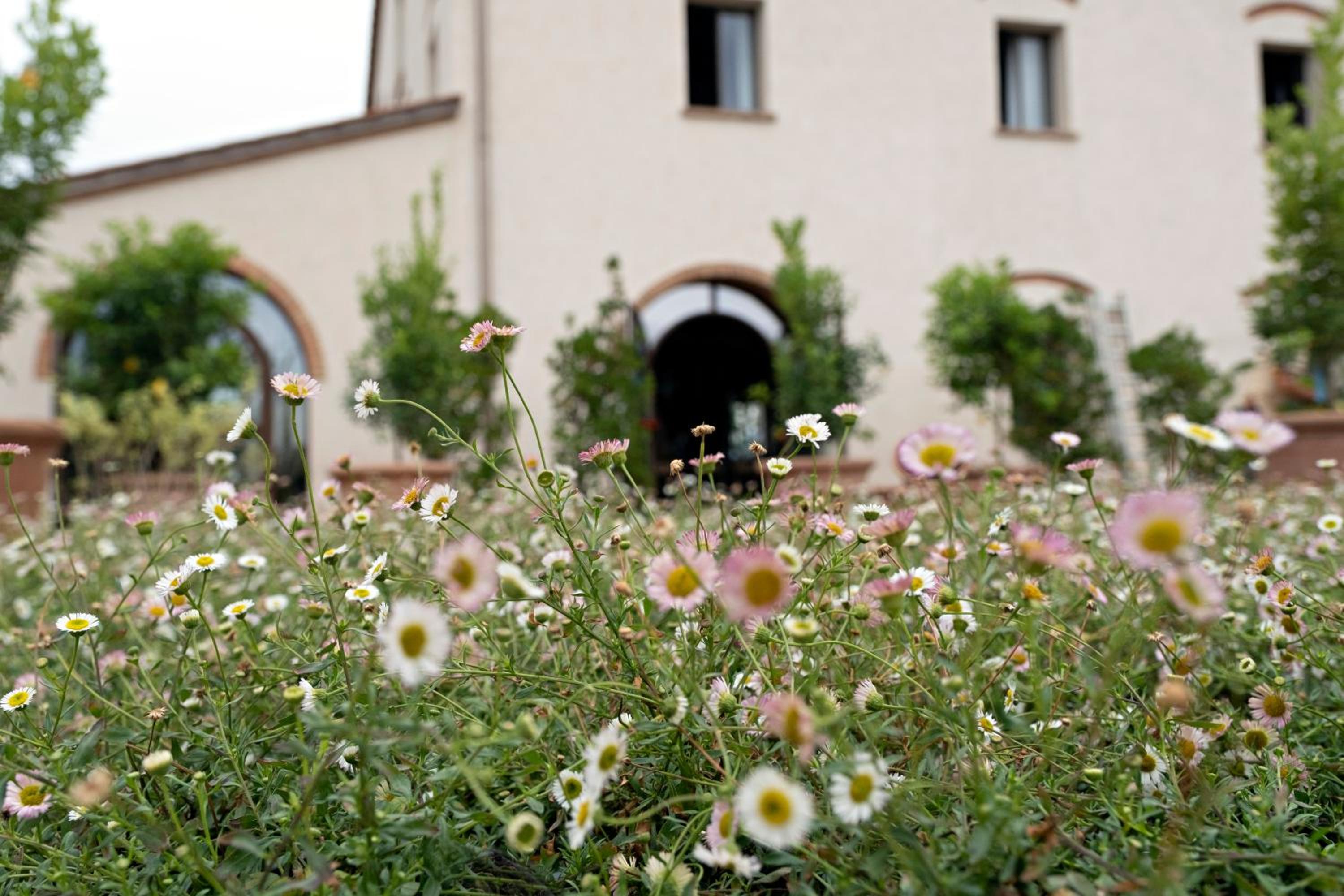 Paradis Agricole