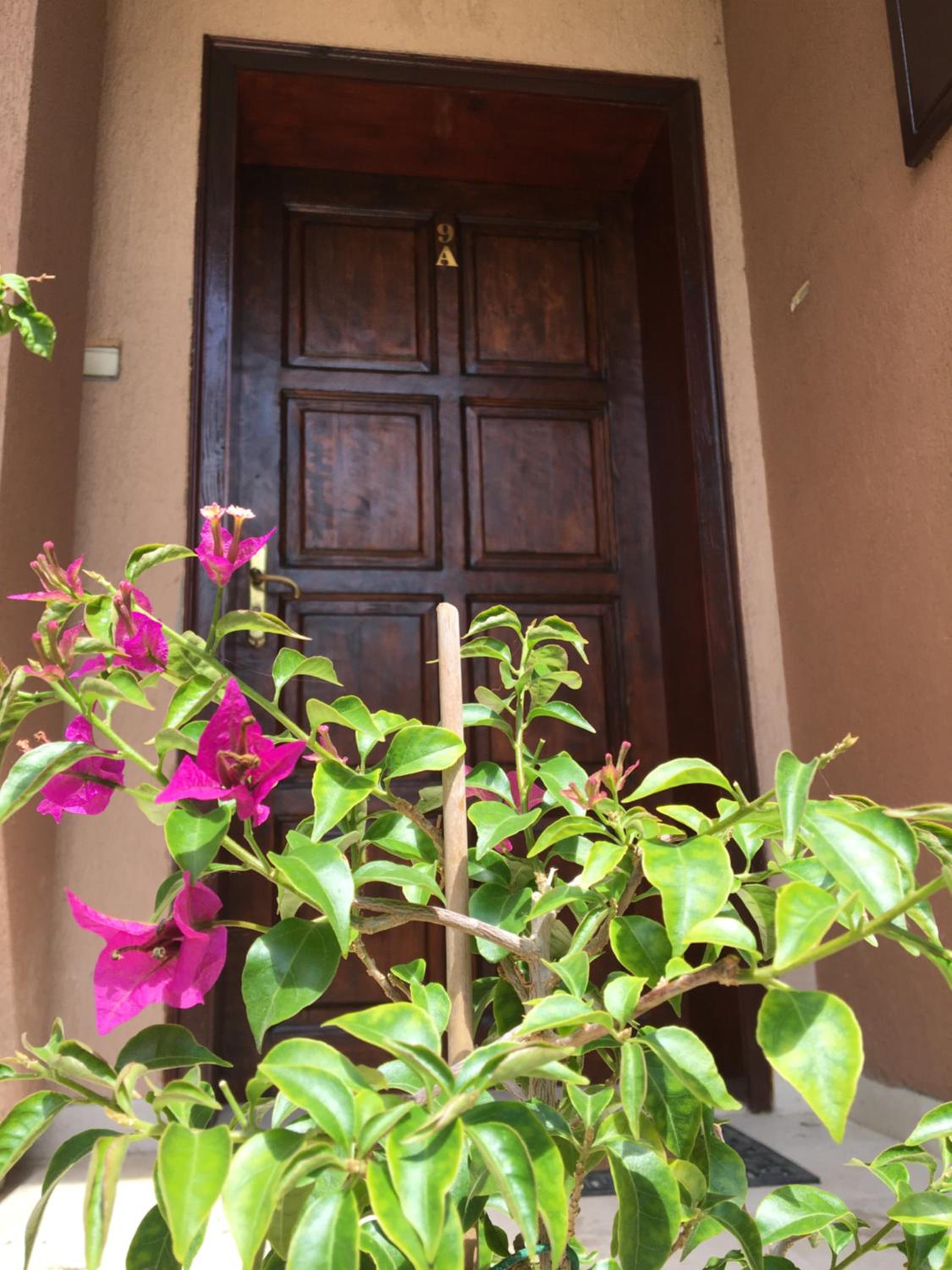 Dimitrovi Guesthouse - Peaceful Stay near Beach with Garden, Sarafovo
