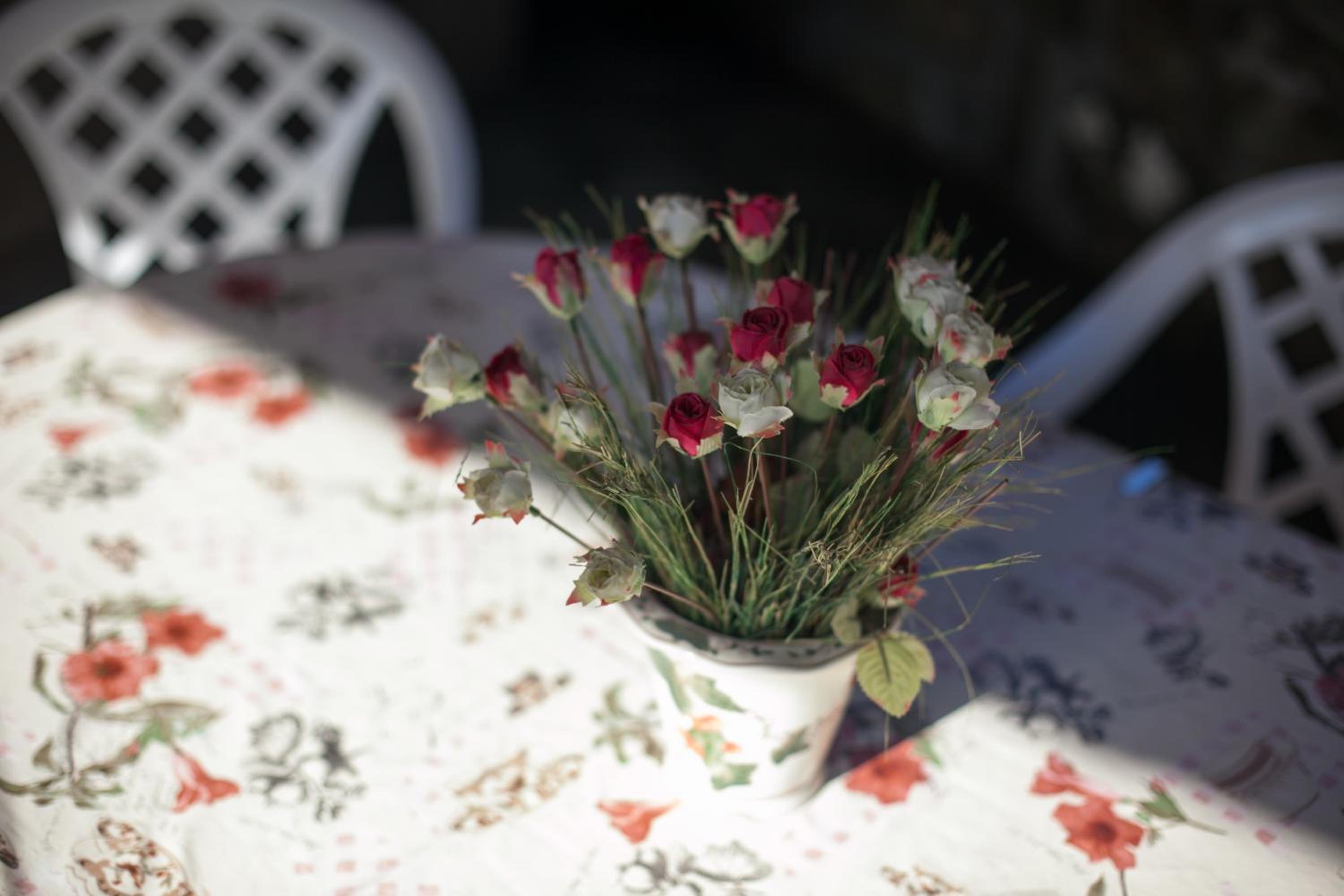 Photo 41