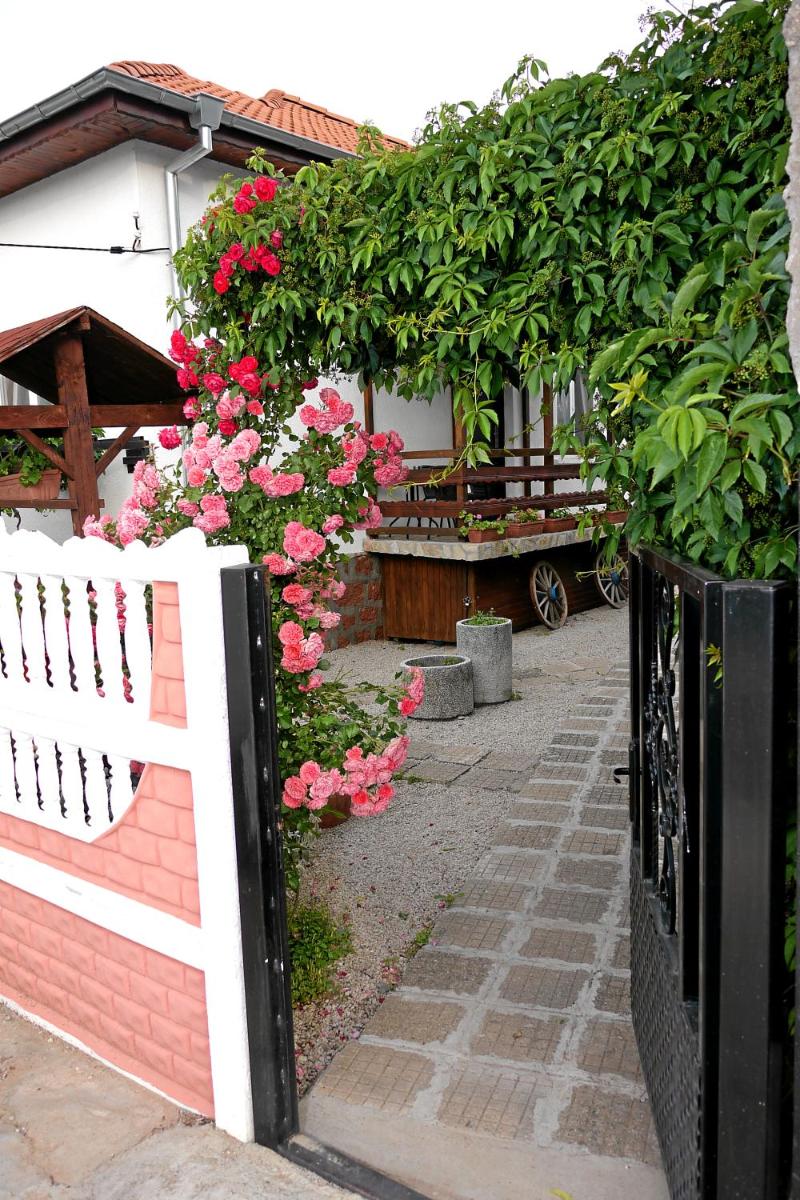 Photo 12