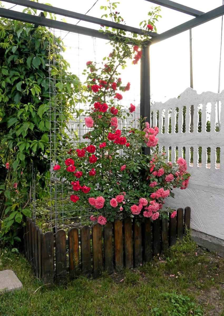 Photo 26