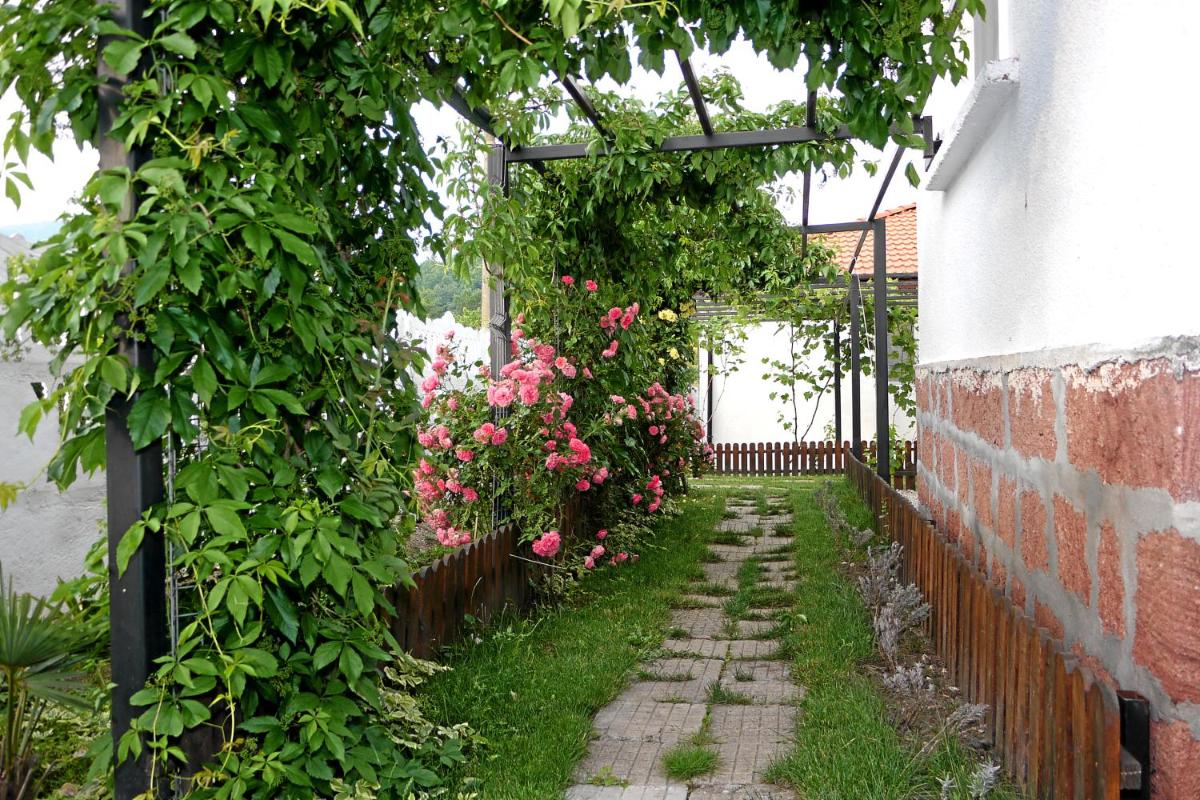 Photo 24