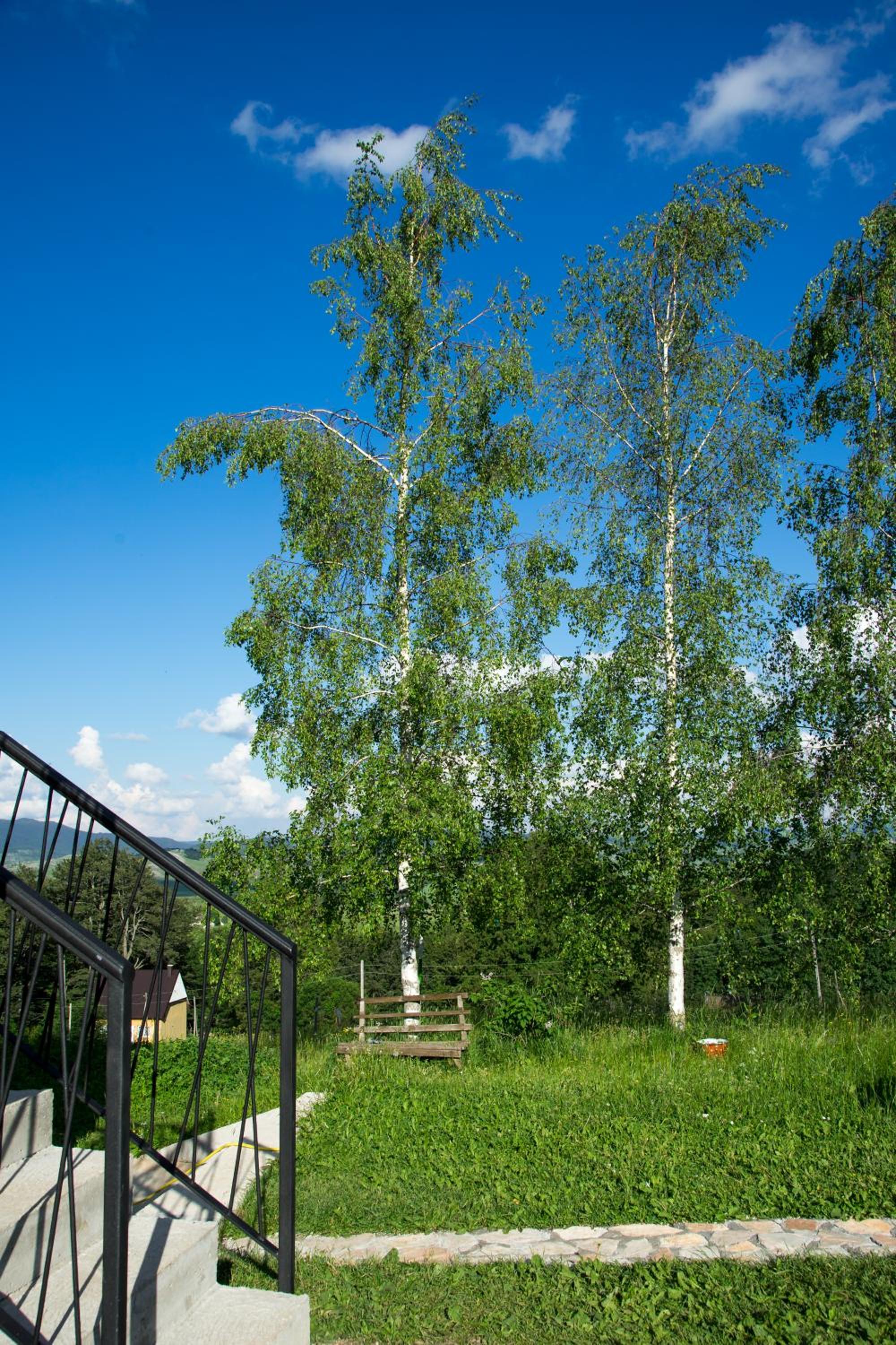 Photo 9