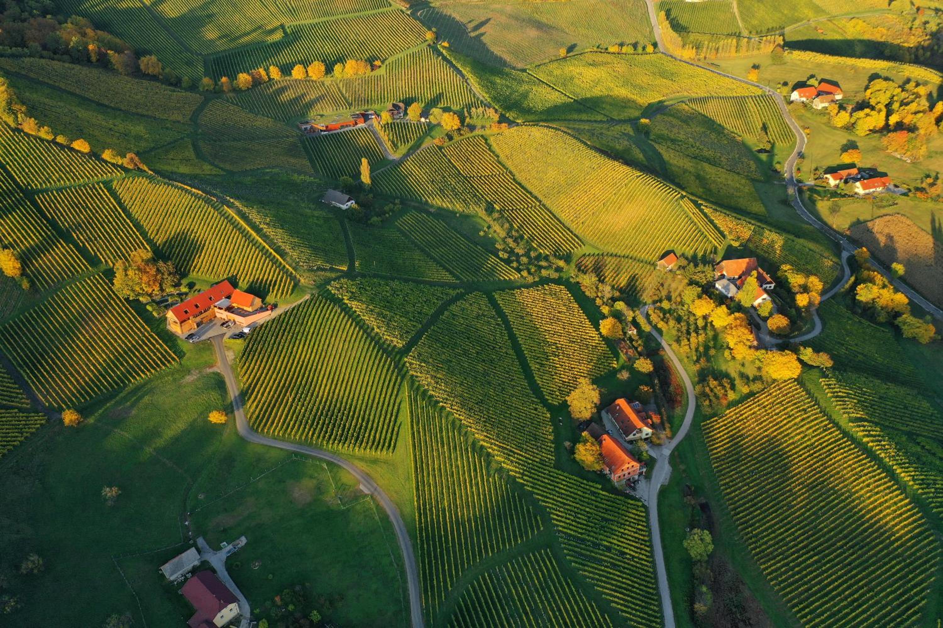 WURZENBERG Hotel Lodges Südsteiermark