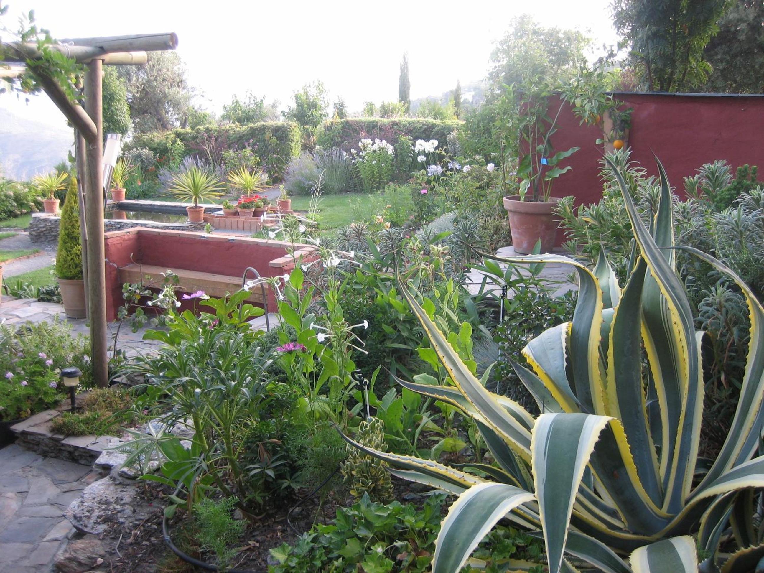 Cortijo Opazo view 5