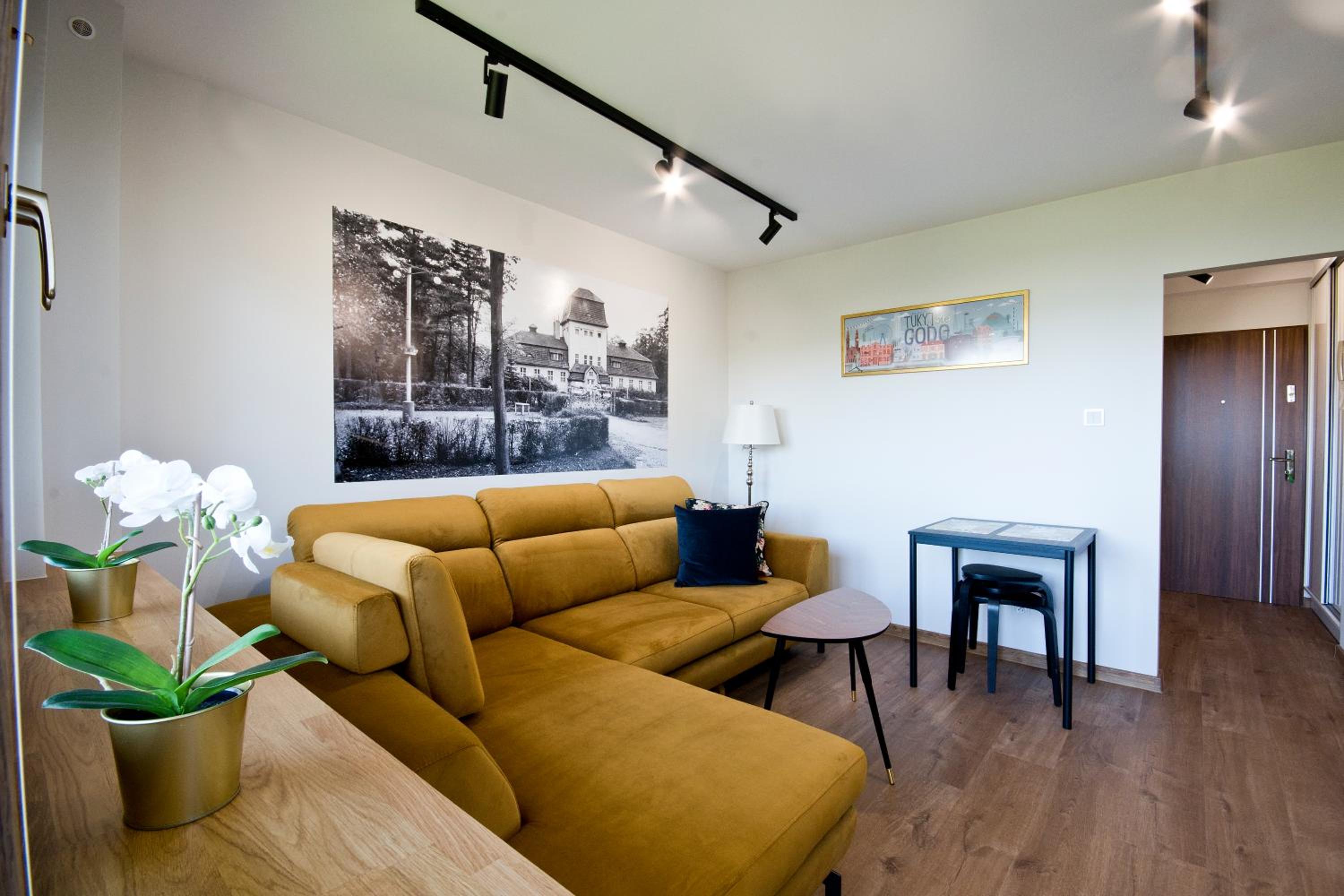 Apartament Jastrzębie, photo 28