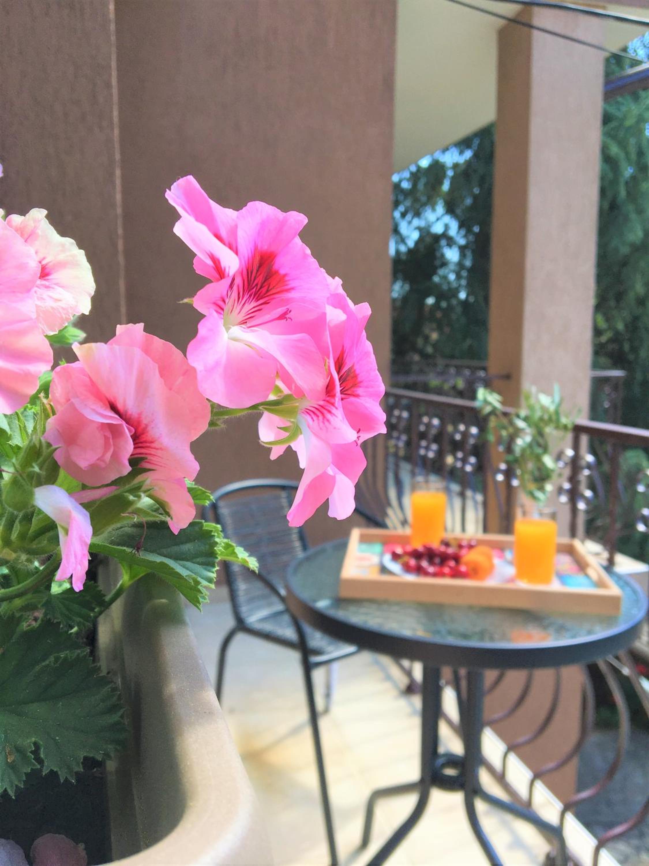 Dimitrovi Guesthouse - Peaceful Stay near Beach with Garden, Sarafovo