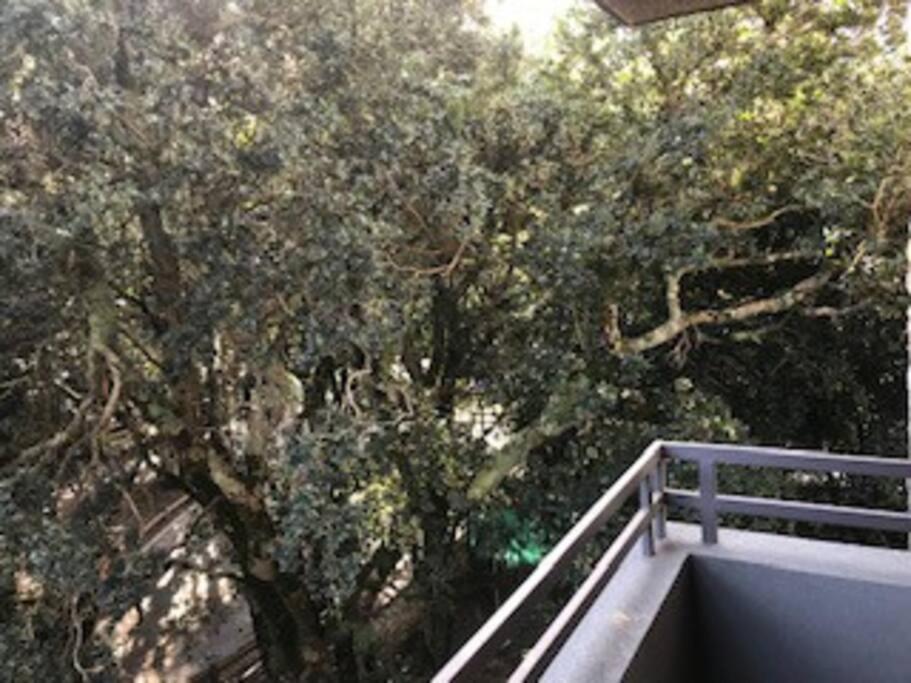 Excelente Departamento en Condominio Costa Pucon