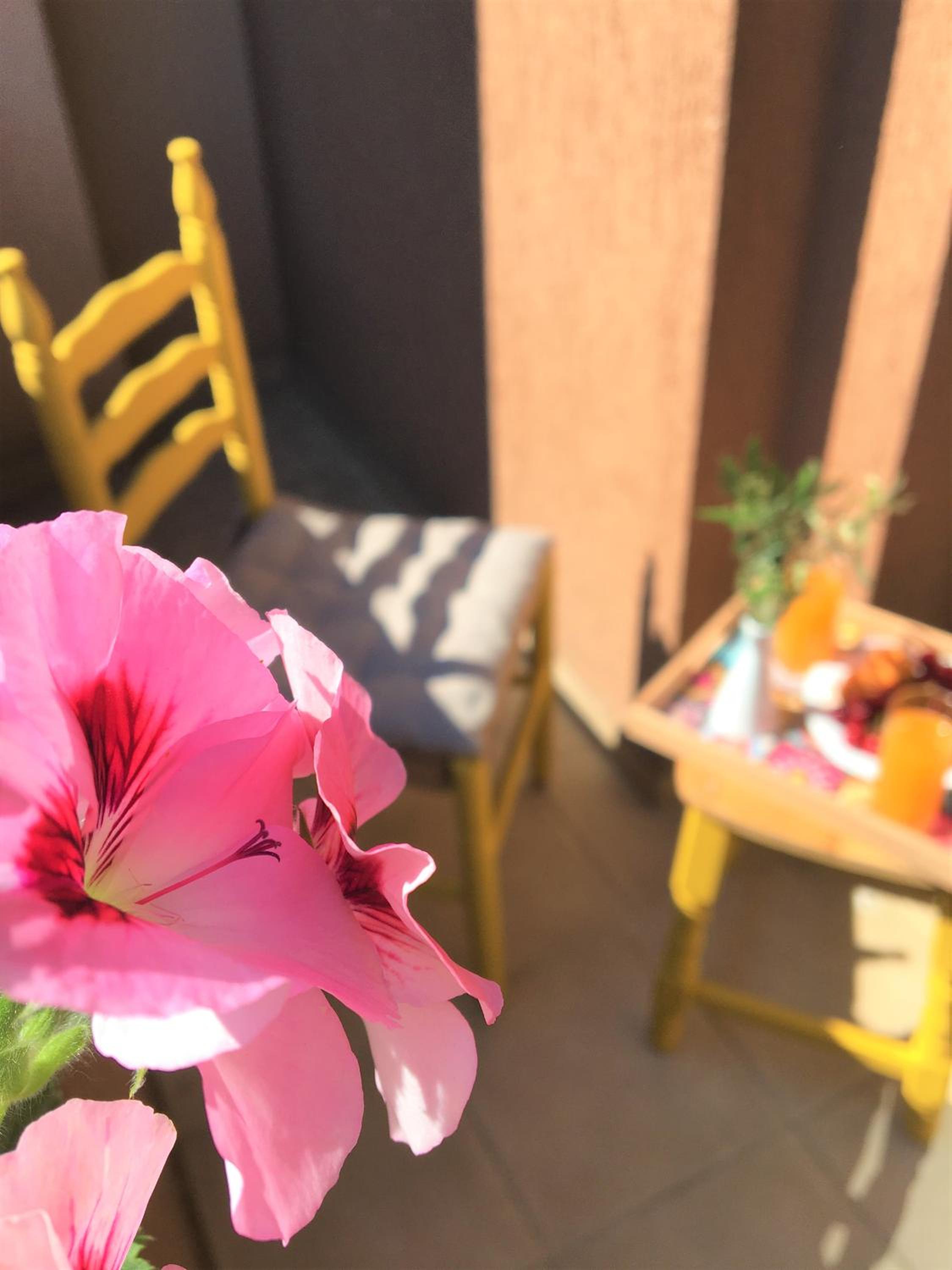Dimitrovi Guesthouse - Peaceful Stay near Beach with Garden, Sarafovo