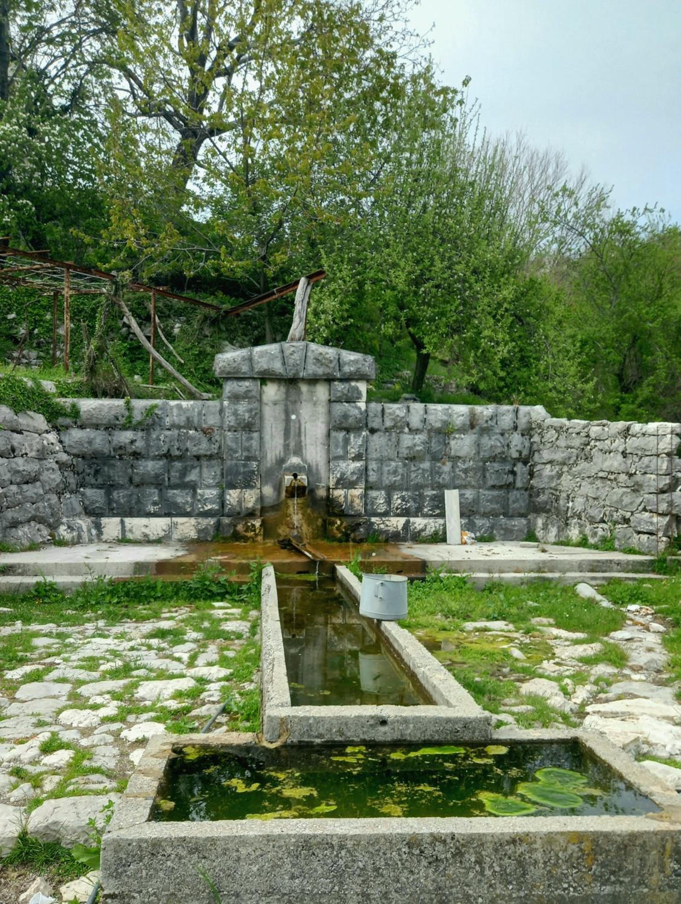 Photo 31