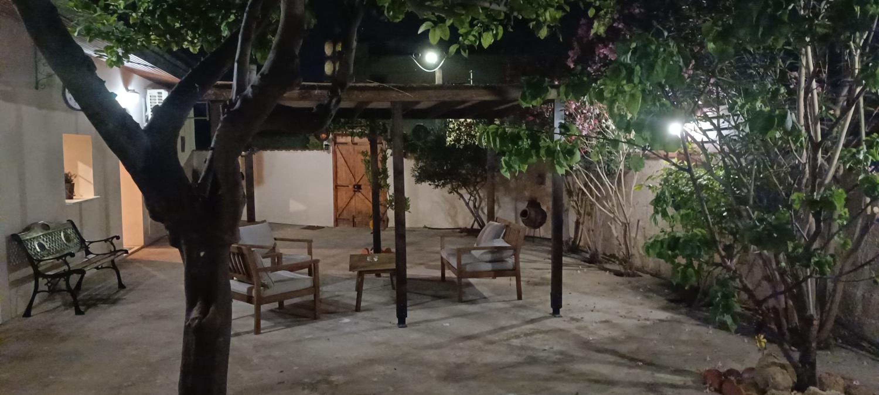 Lemon Tree Courtyard