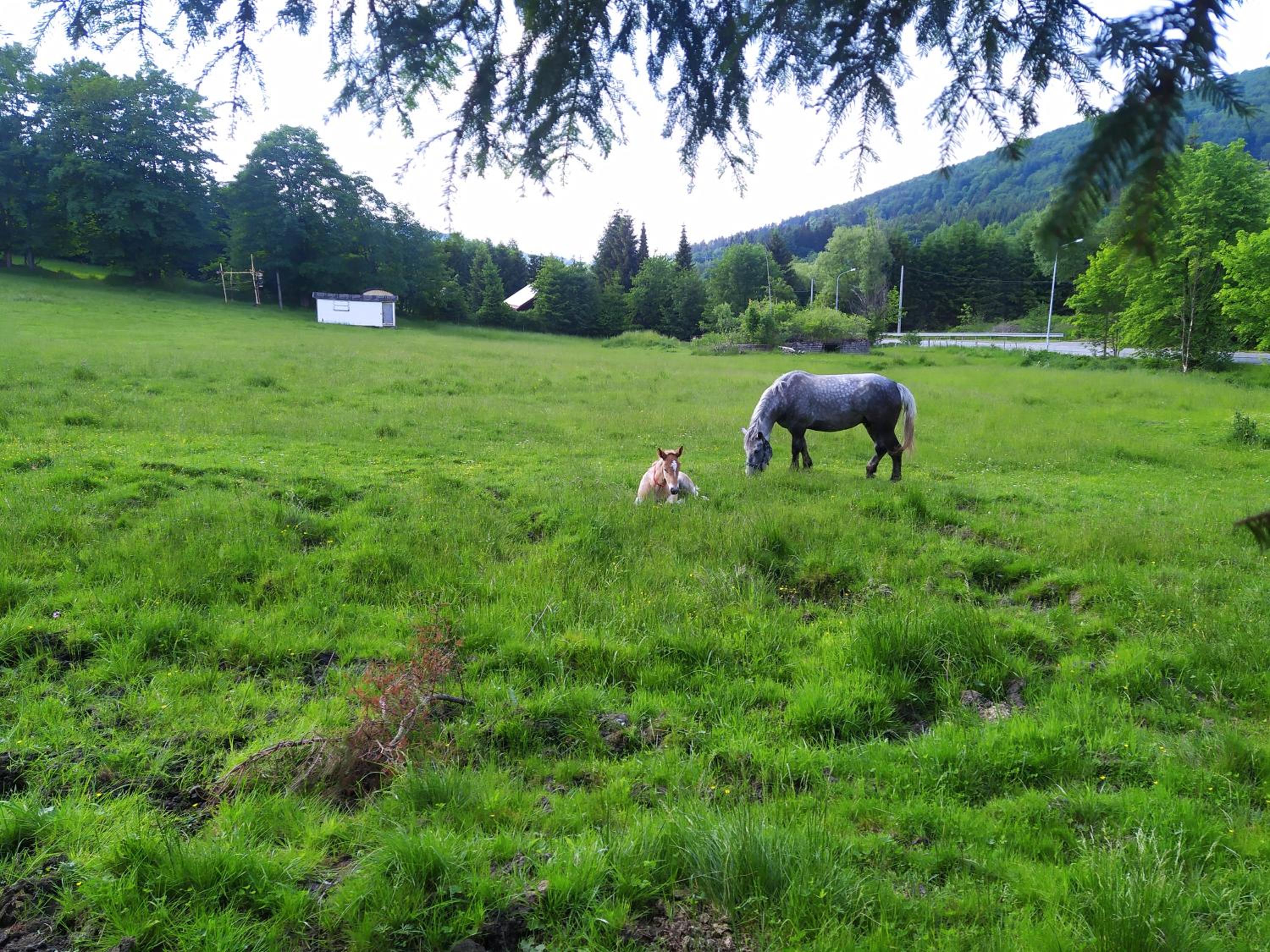 Photo 49