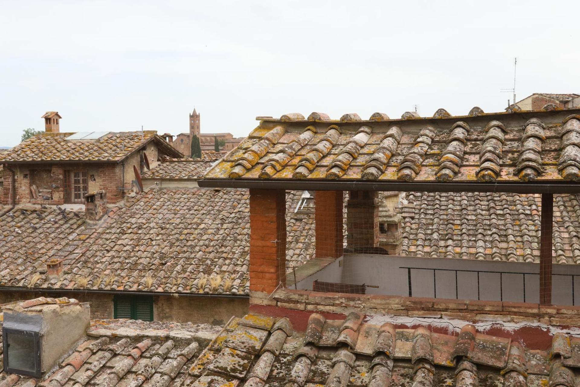 roof