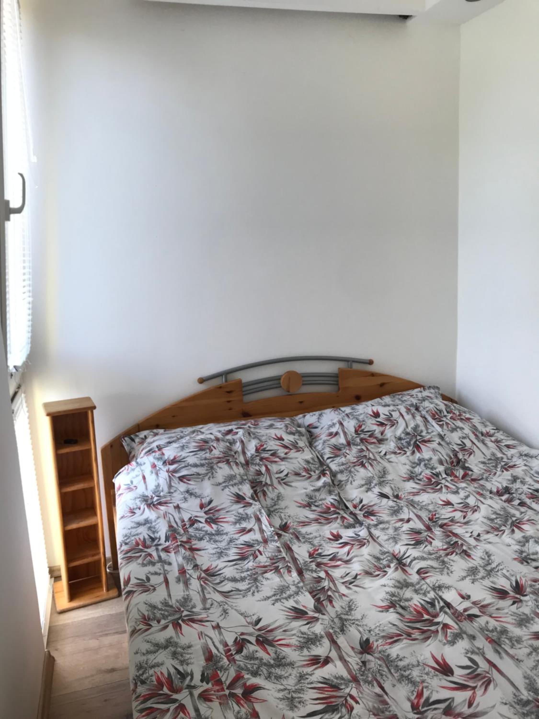 Panoráma