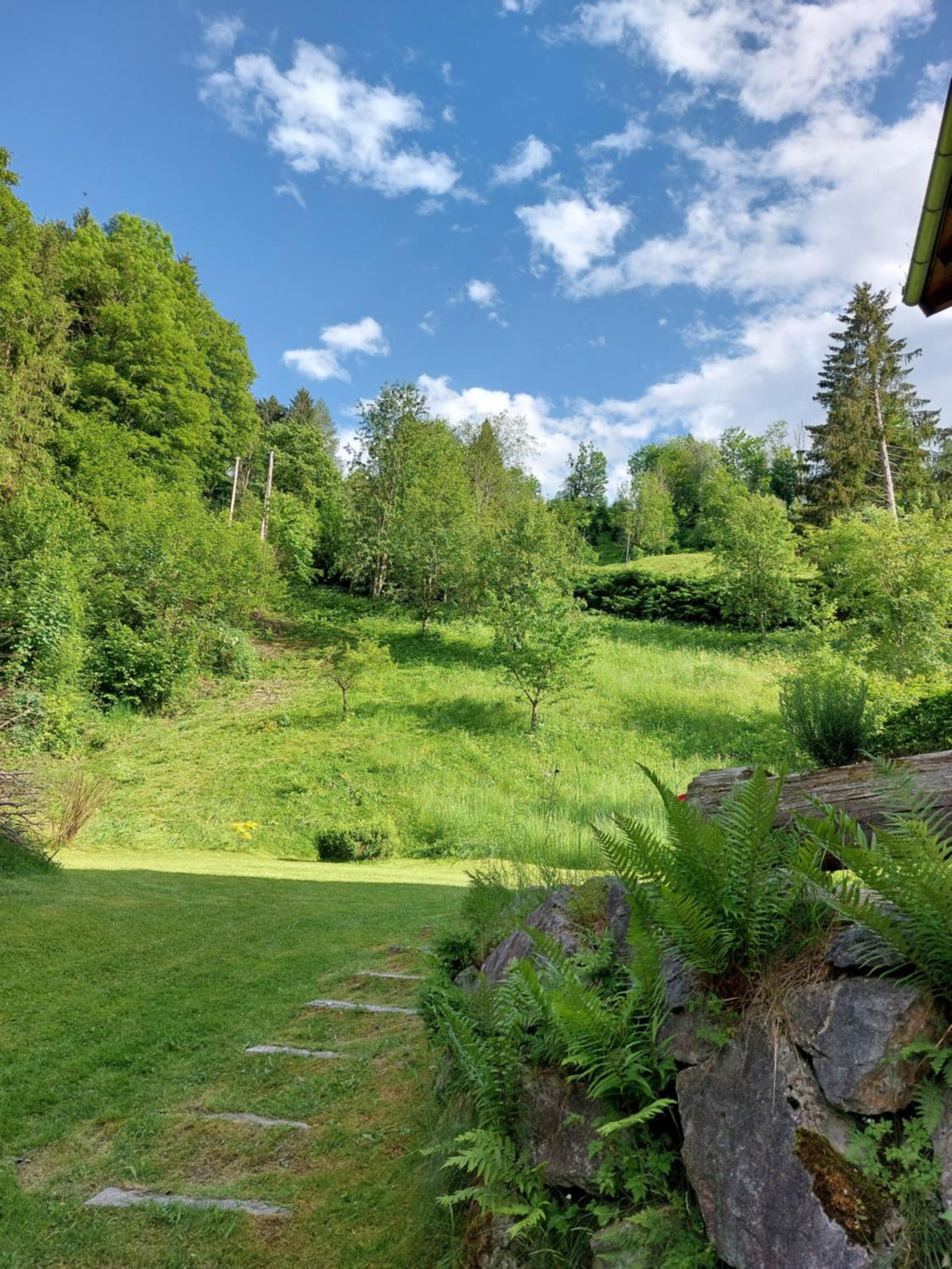 Chalet Peter
