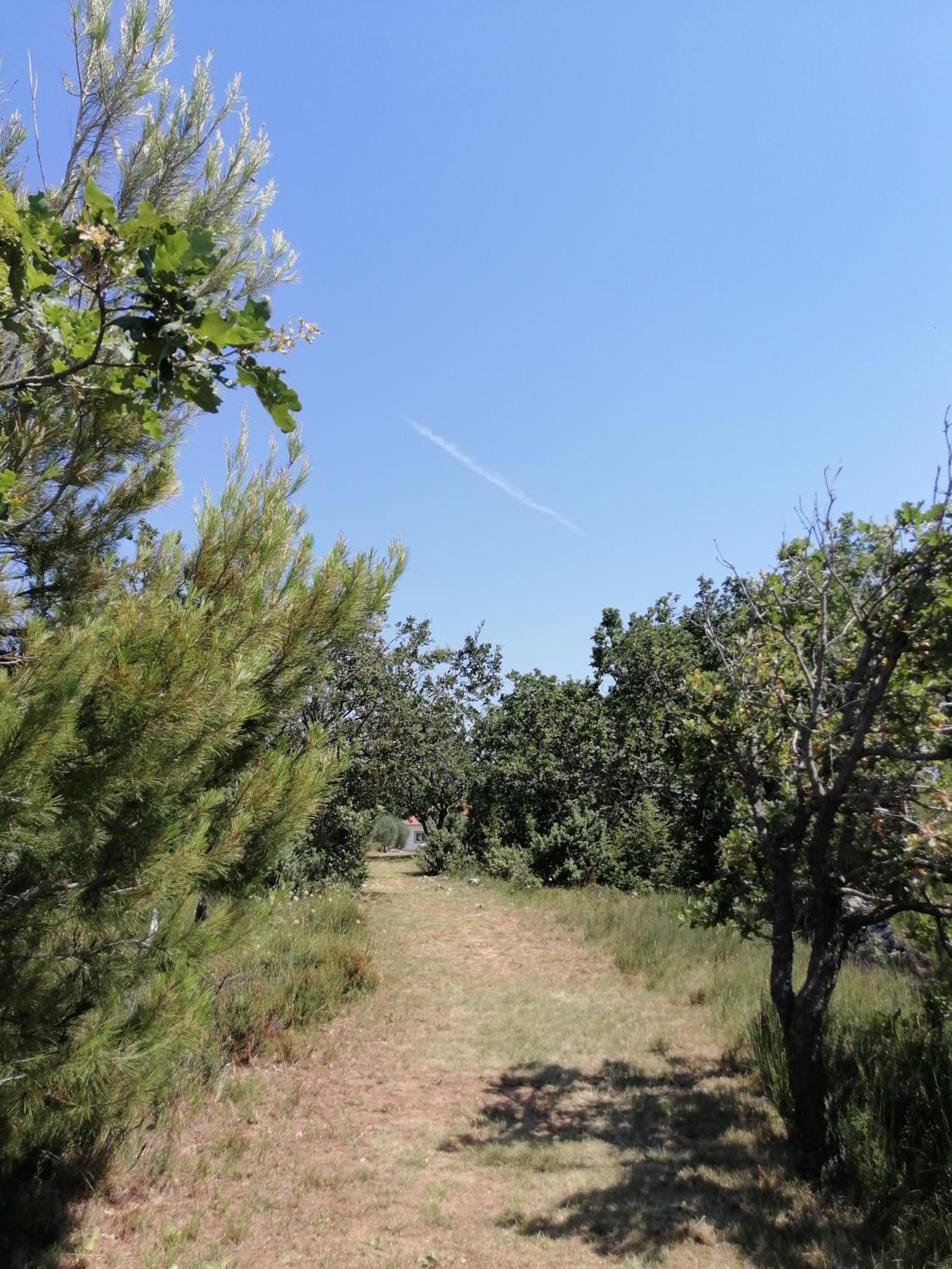 Holiday house Tunjarice view 4