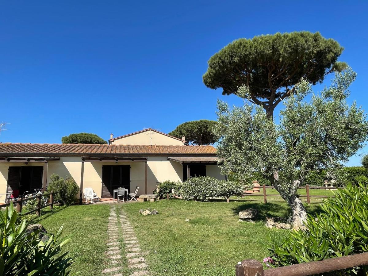 Small cottage with aircon, private terrace and garden - 2000m from the beach by ToscanaTour photo 5