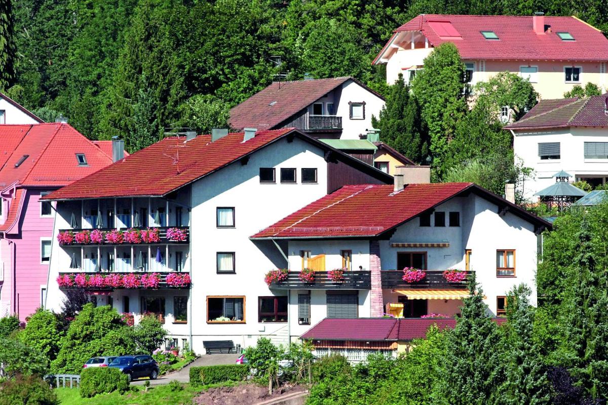 Aparthotel Schwarzwald Panorama view 3
