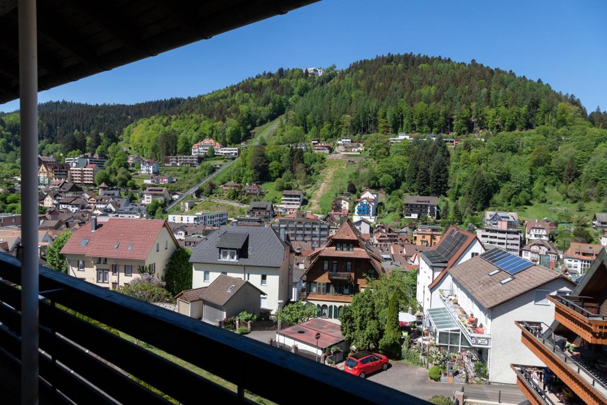 Aparthotel Schwarzwald Panorama view 5