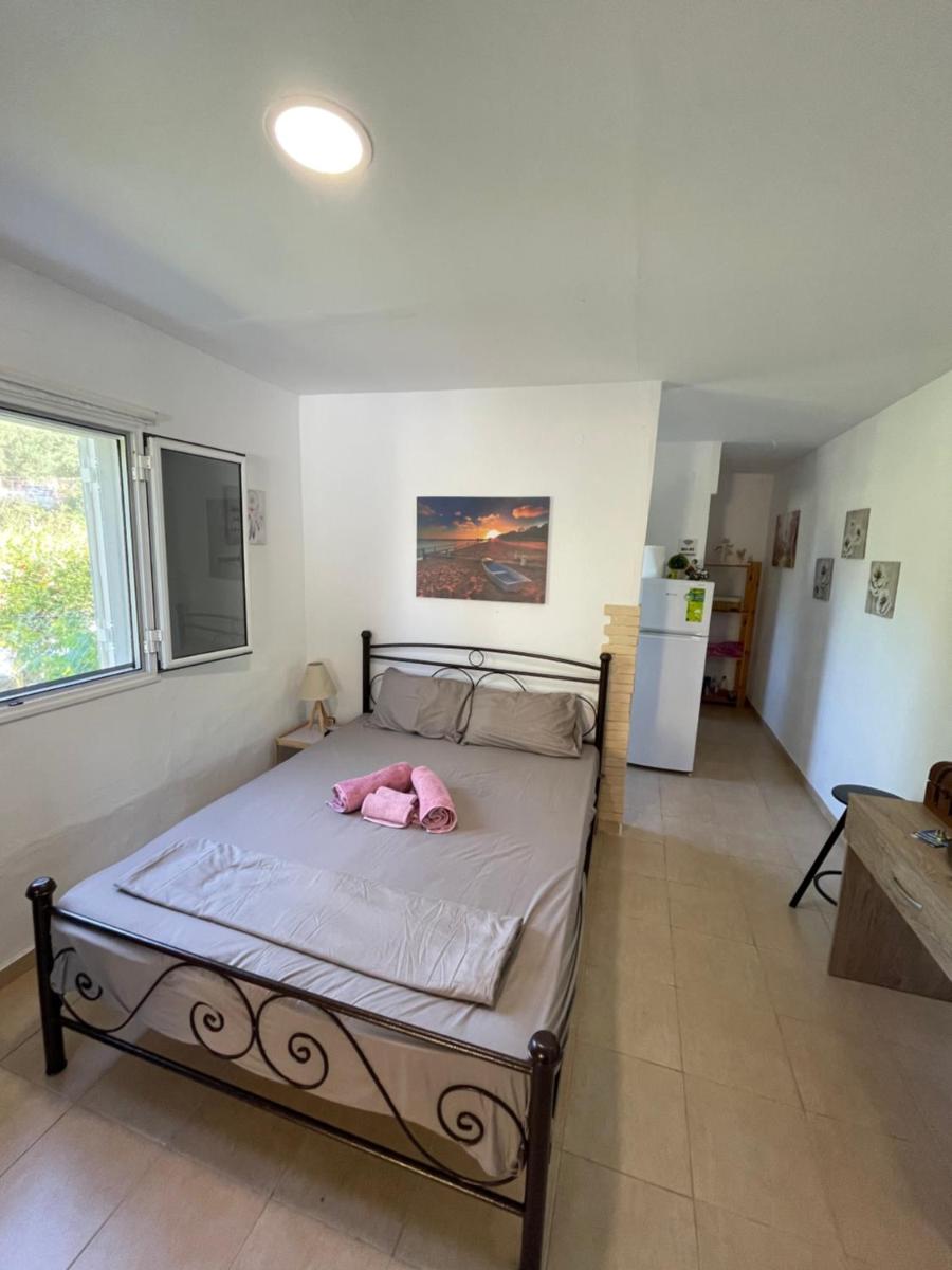 Olive Tree House view 2