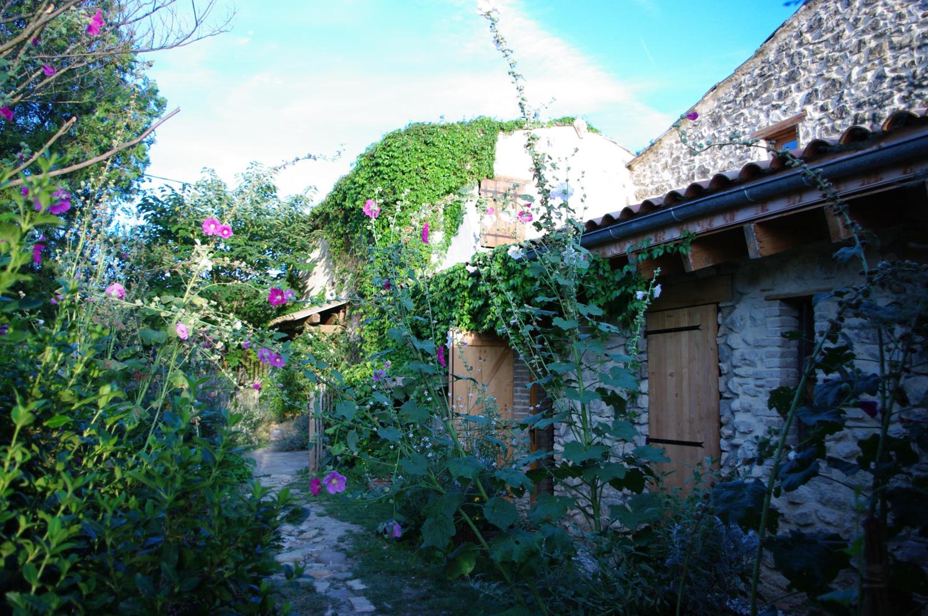 Photo 19