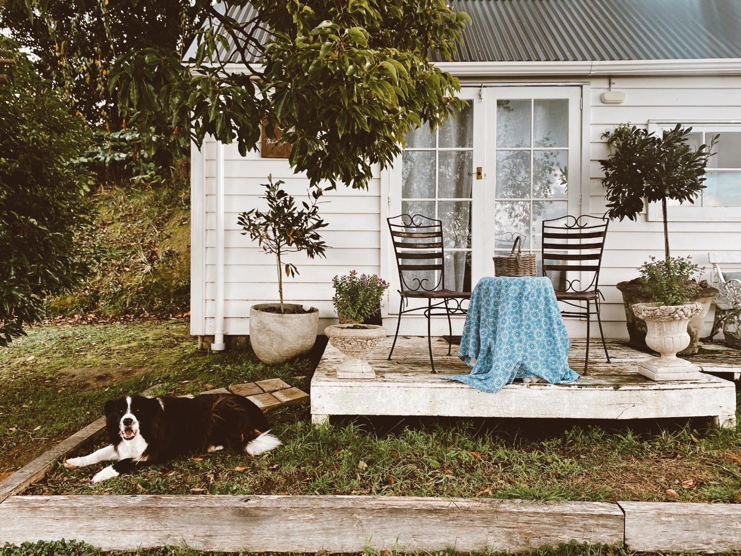The little cottage view 2
