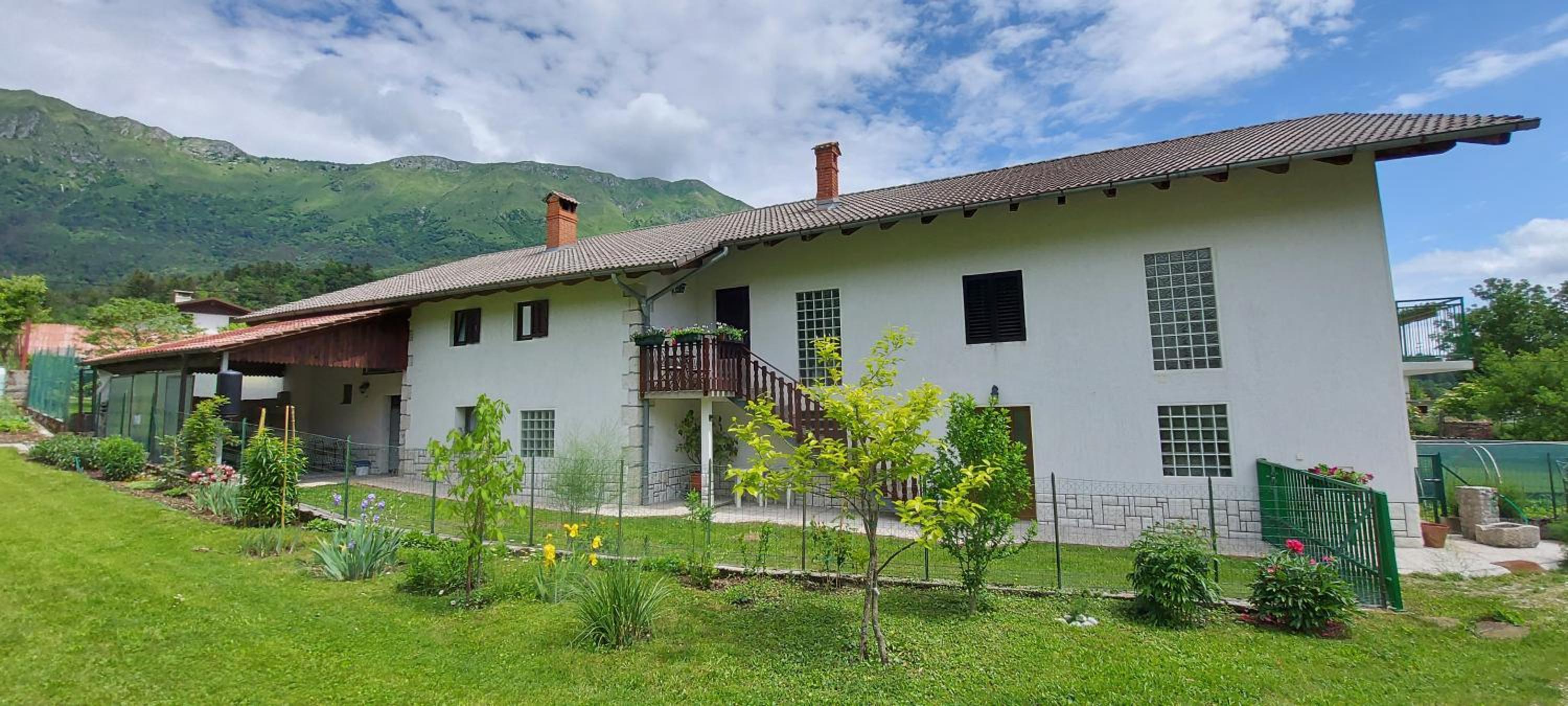 Apartma pr' Ivani Miškorinovi view 4