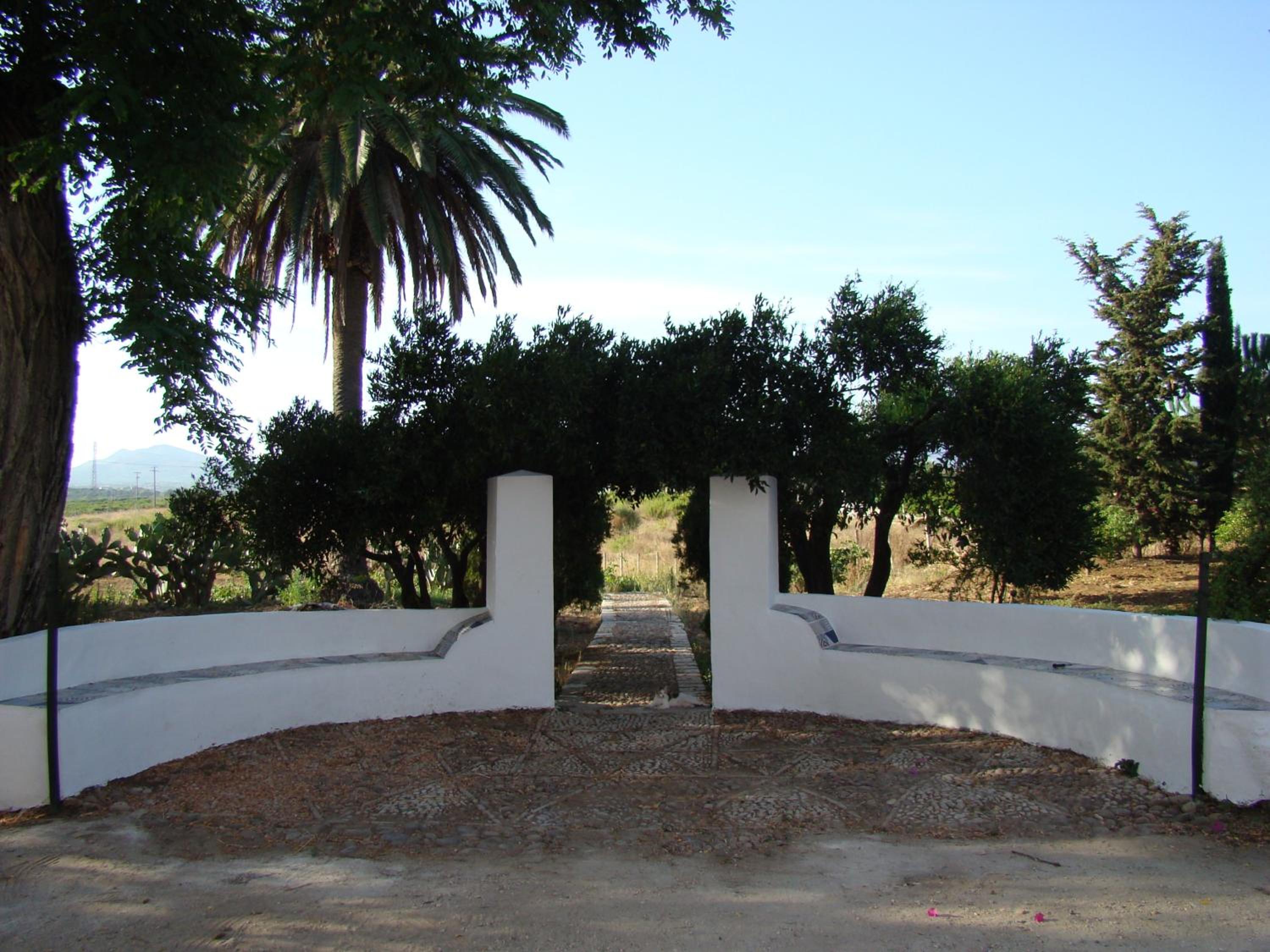 Photo 7