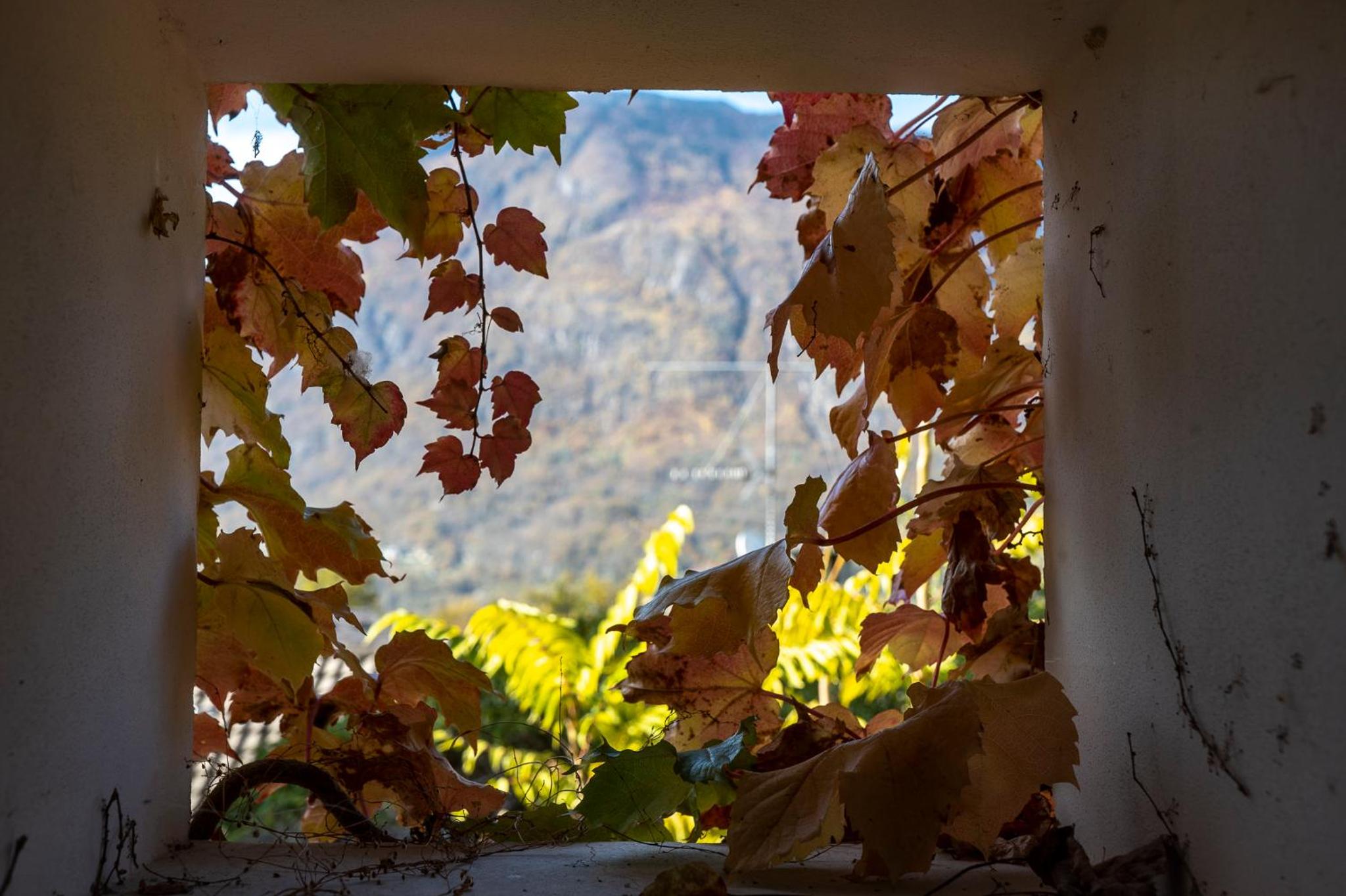 Casa Tomà