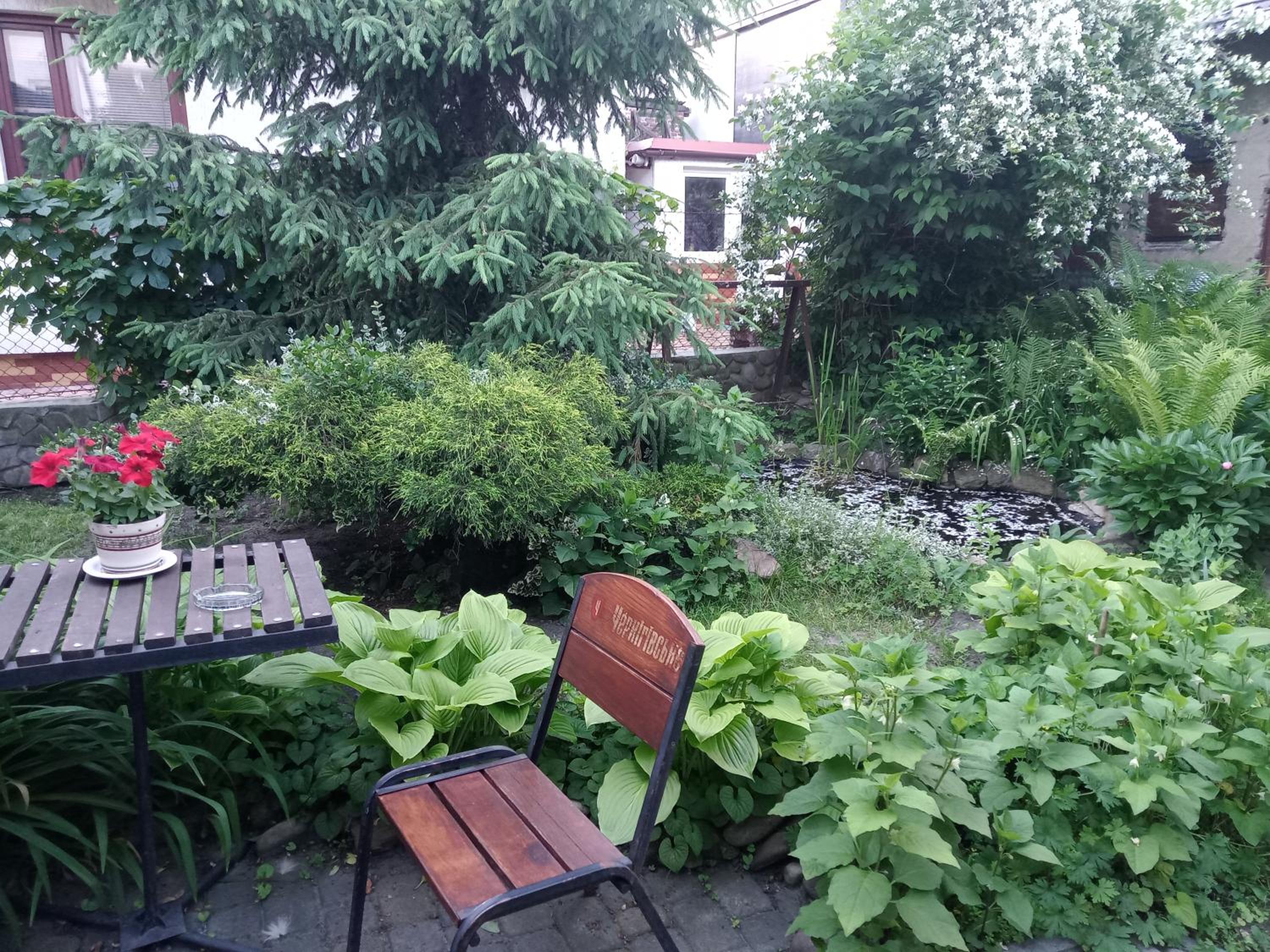 Photo 16