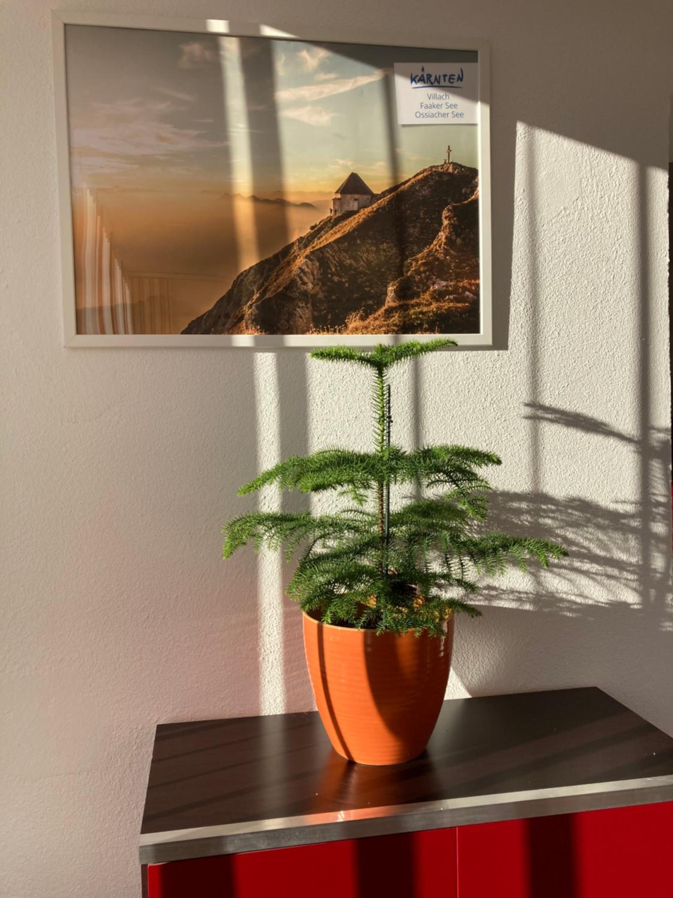 Ferienhaus Auszeit Natur bis zu 10 Personen