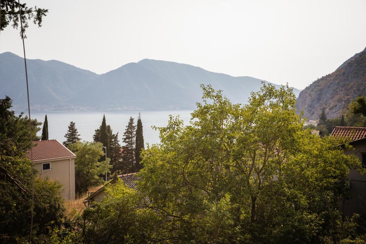 APARTMANI PEKO photo 4