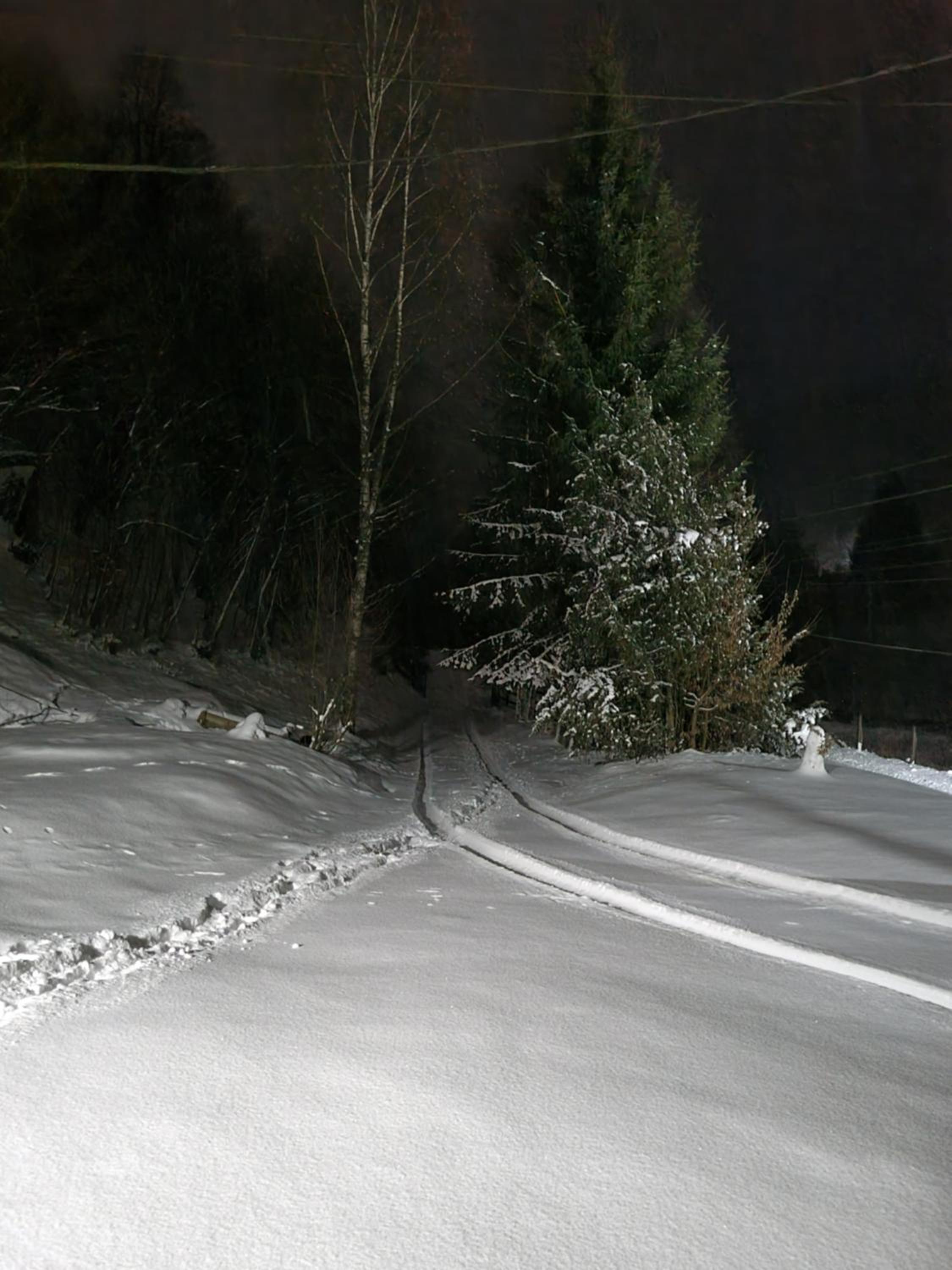 Photo 41