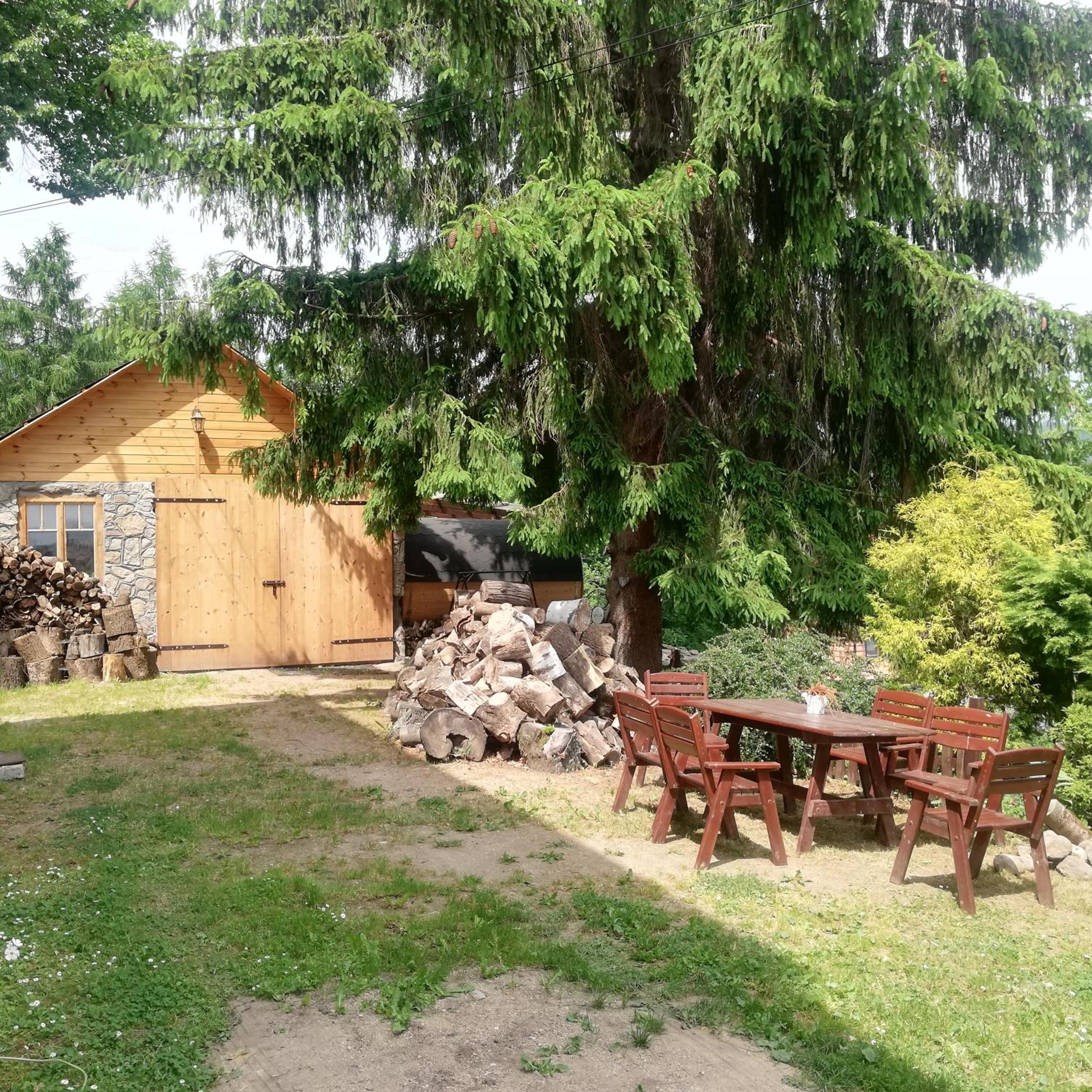 Photo 19