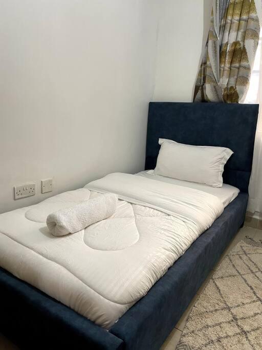 JuVee Place -Two Bedroom Apartment, Nanyuki view 3