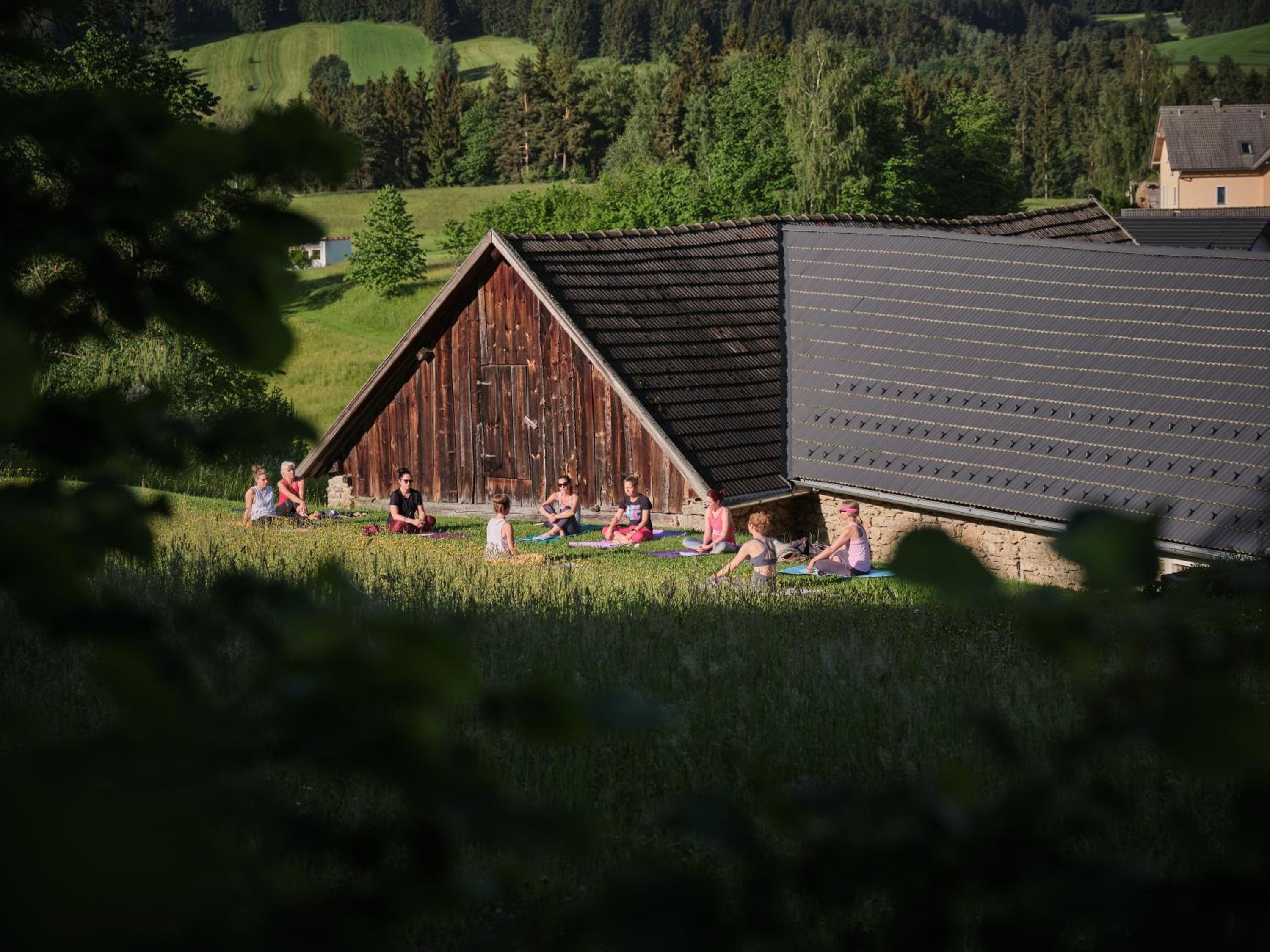 Aigen 13 - Dreiviertelhof im Waldviertel