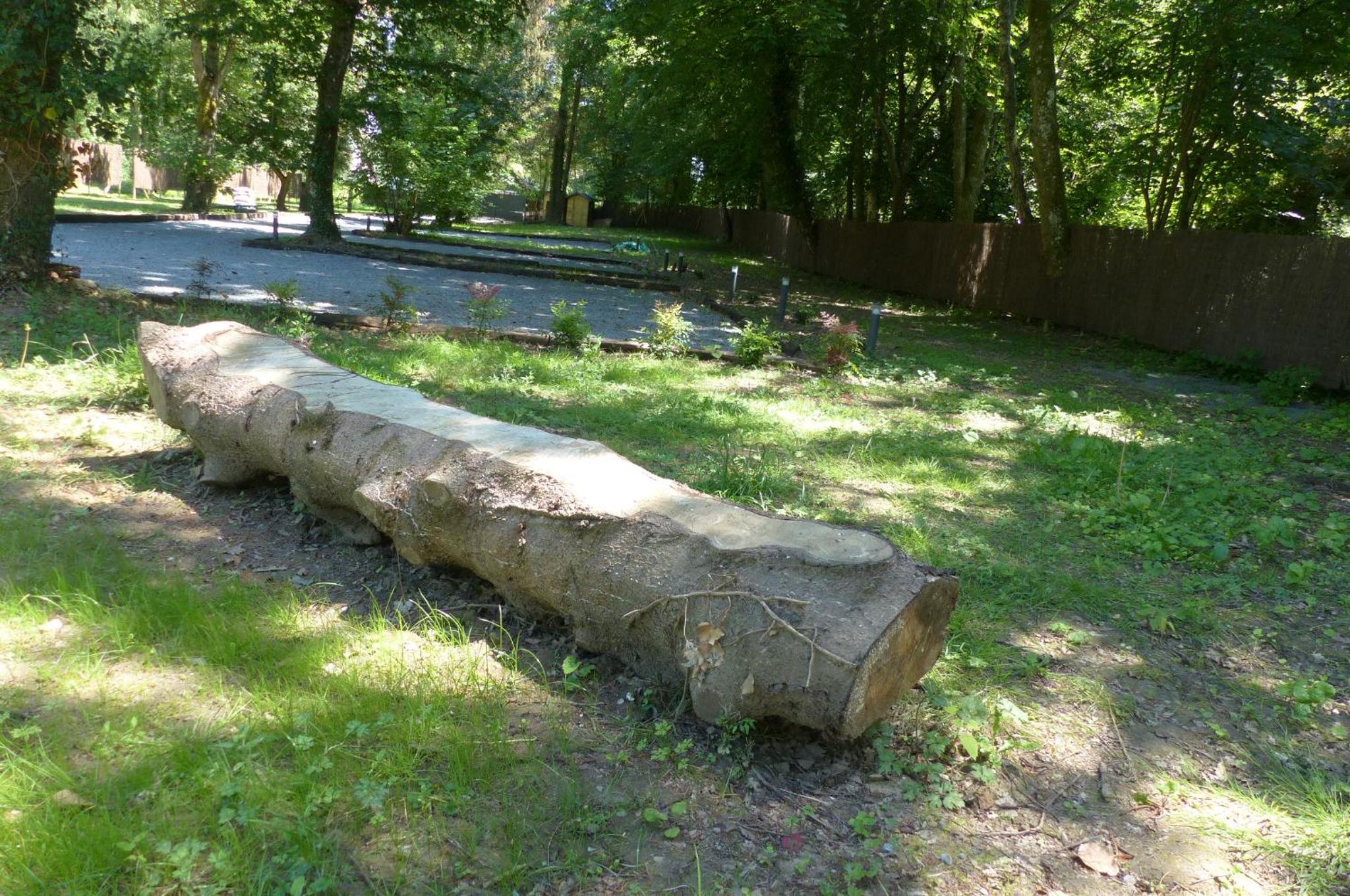 Photo 24