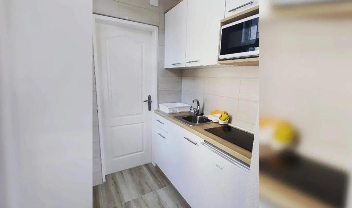 Vila Srbija view 4