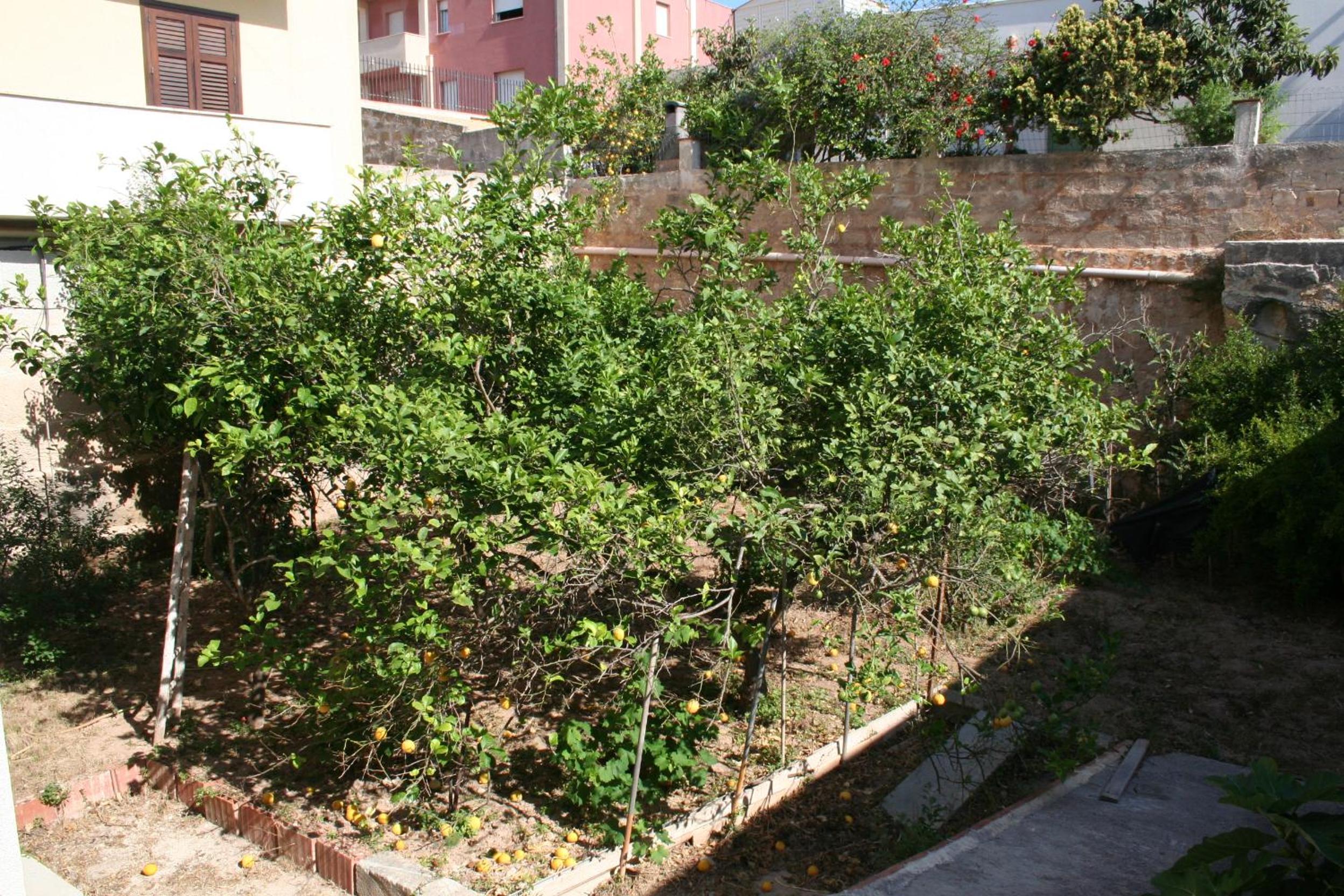 Photo 21