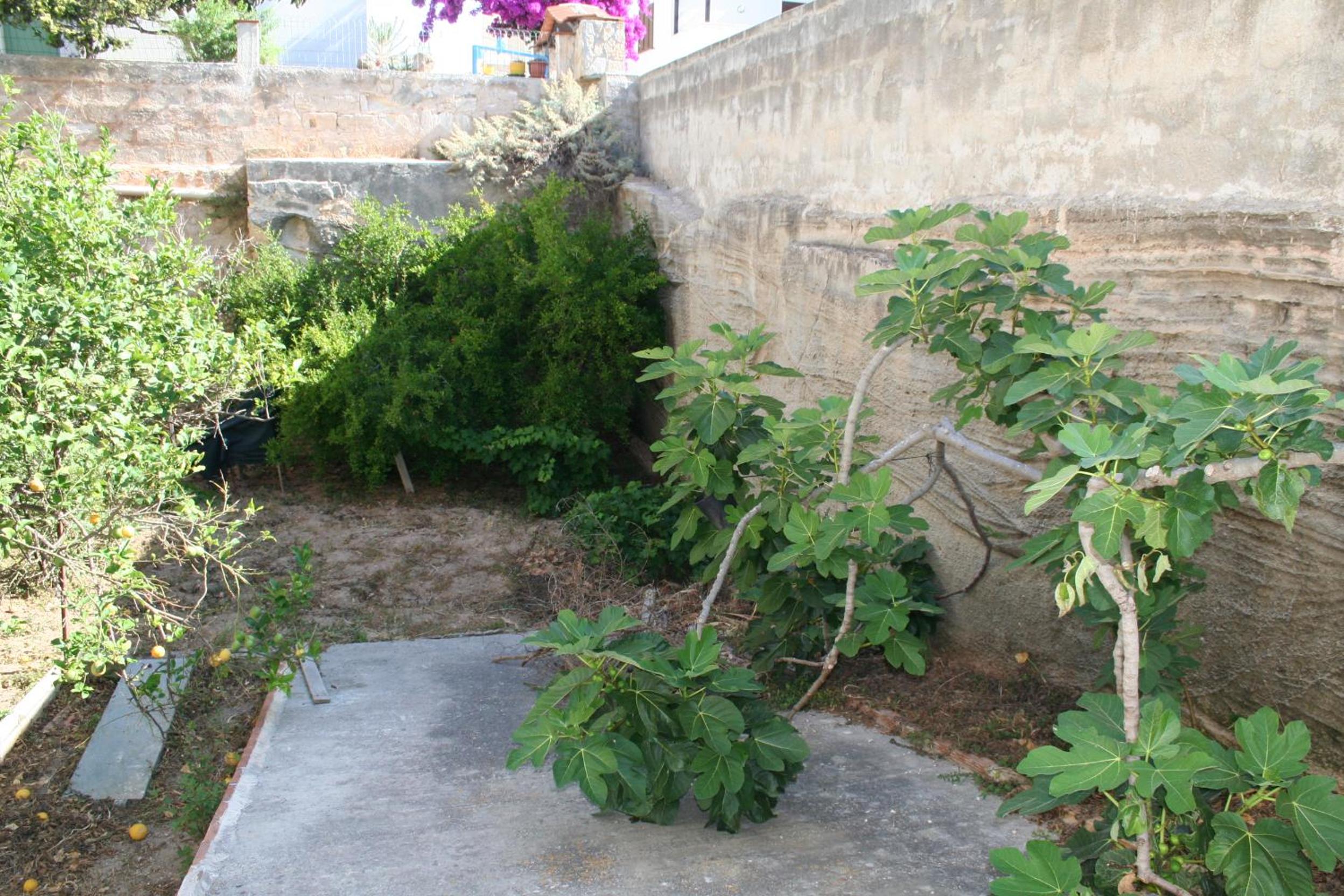 Photo 37